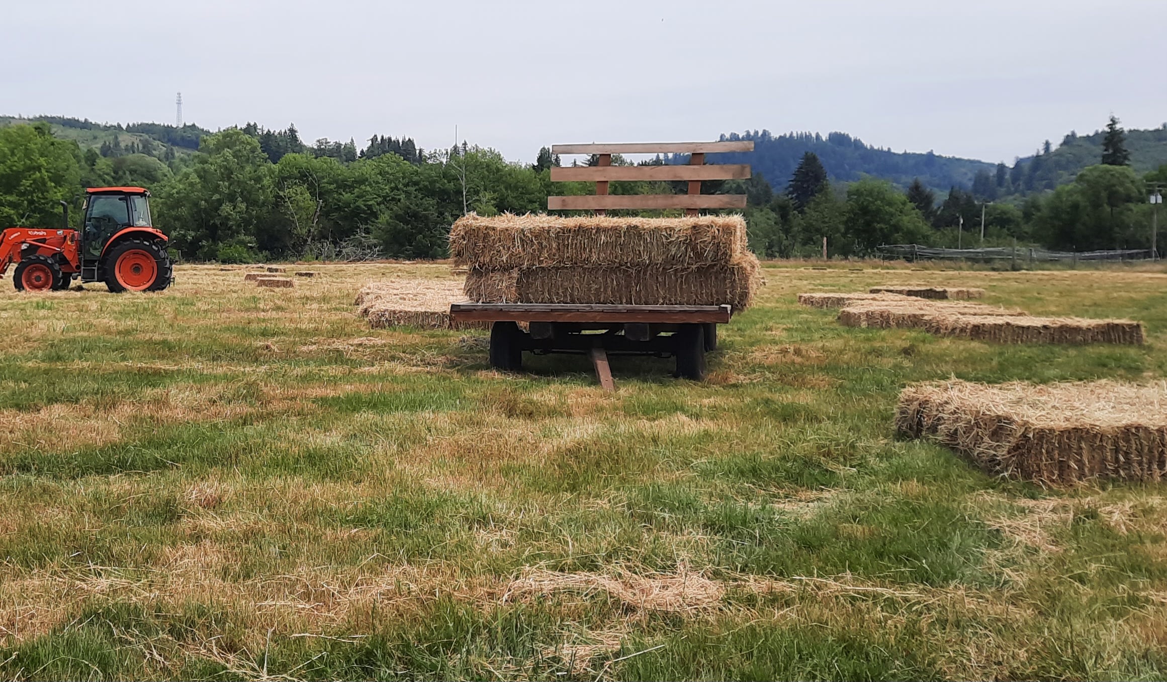 West Creek Ranch