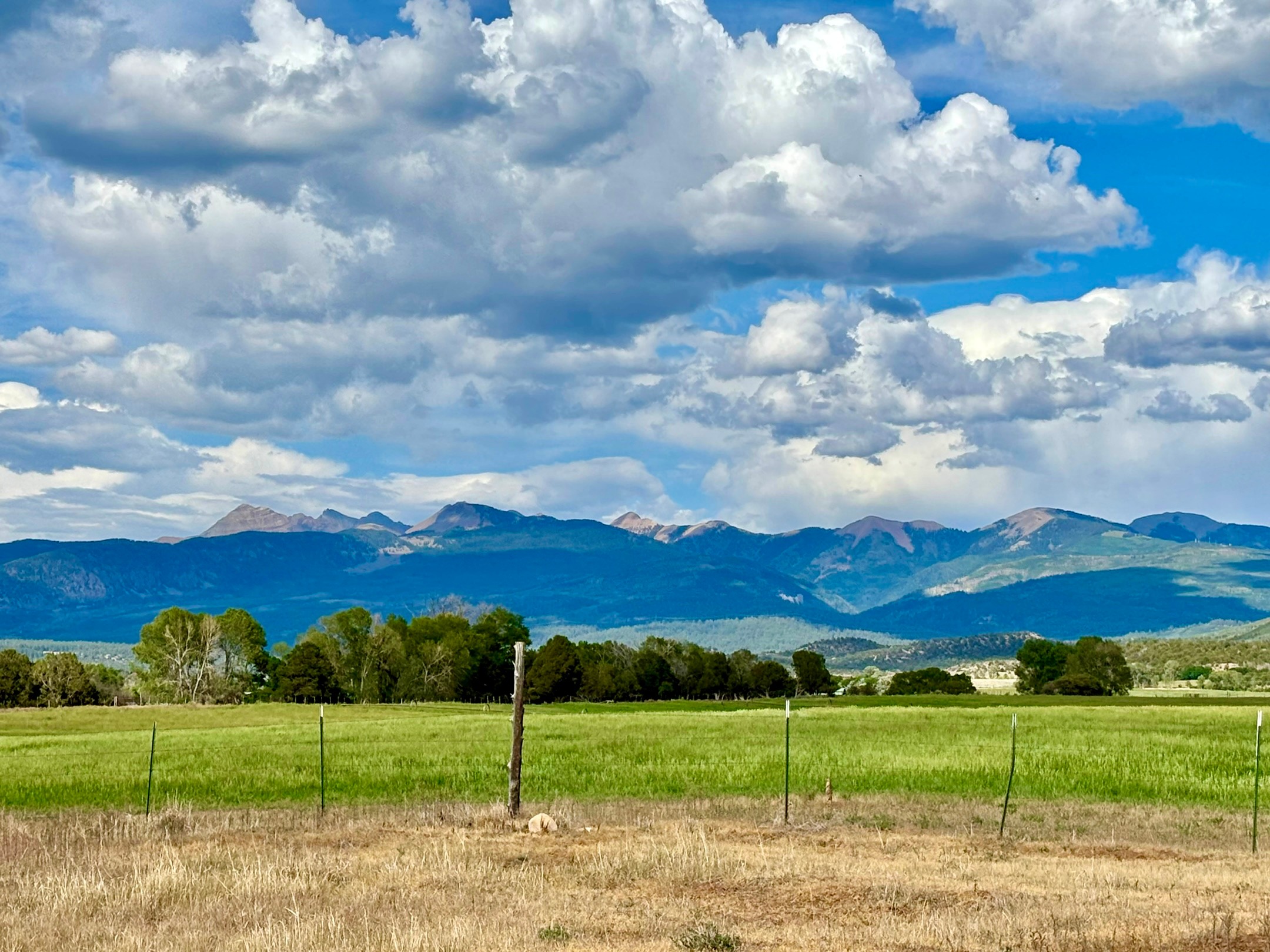 Mesa Verde Basecamp