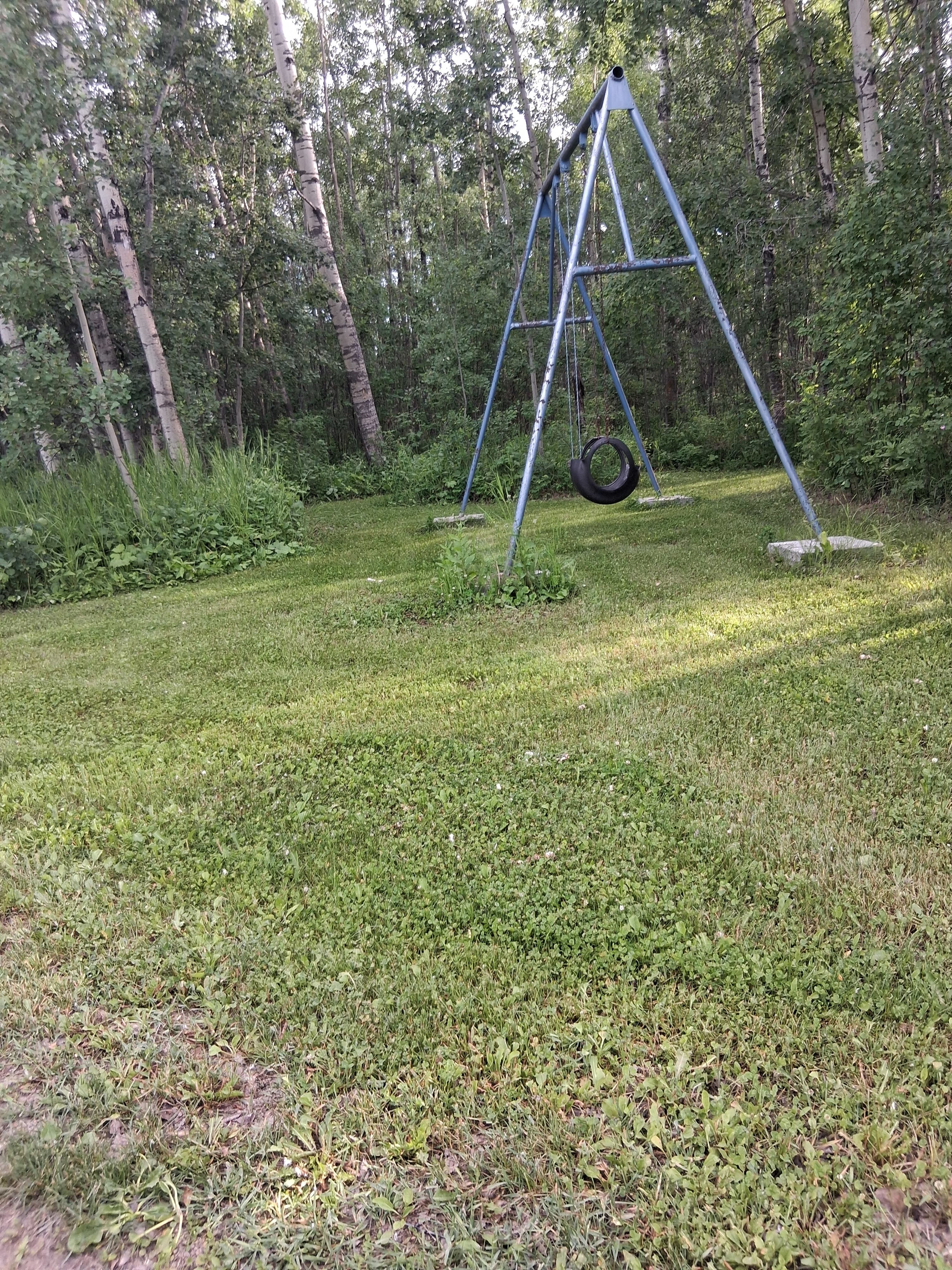 Spruce Hill Campsite
