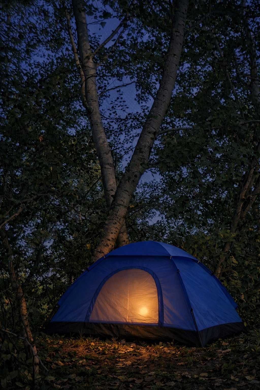 Step into Spruce Hill Campsite and feel the difference. There's about three locations for your tent or camper van. Bonus outhouse available but bring