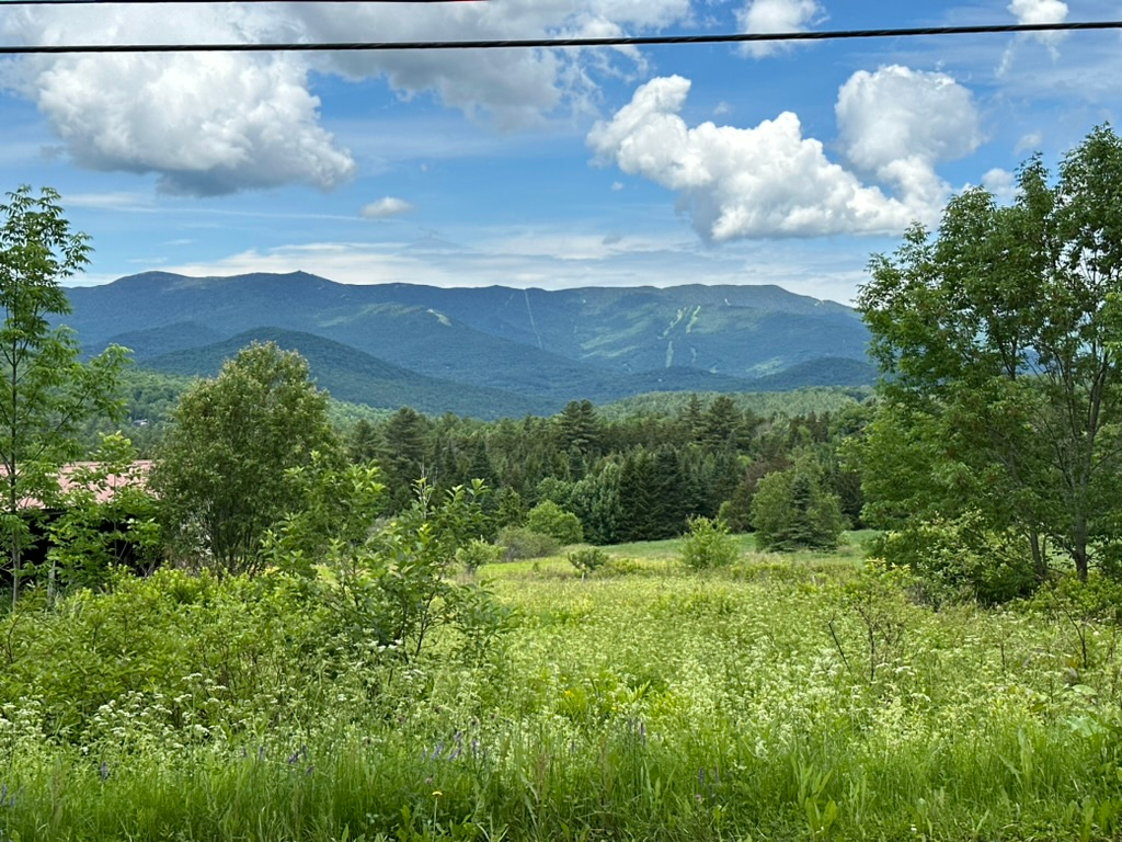 Peaceful Mountain View- Electric