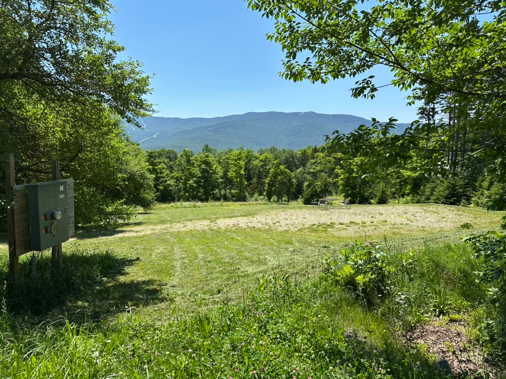 Peaceful Mountain View- Electric