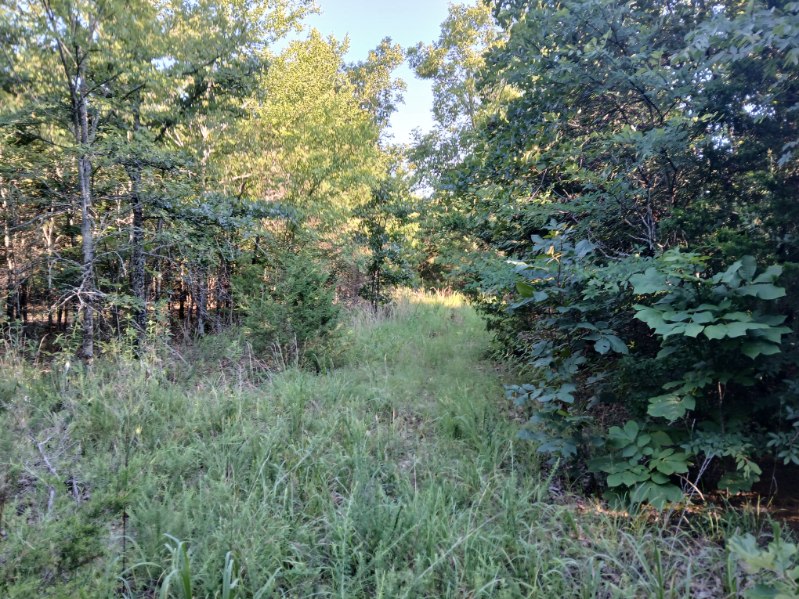 Tenkiller Dam 5 acres
