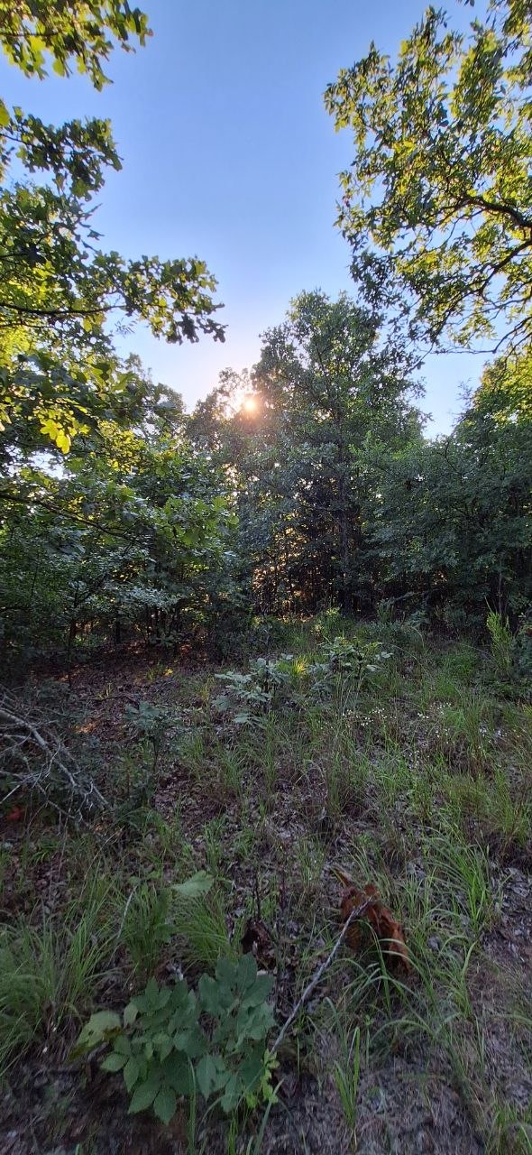 Tenkiller Dam 5 acres