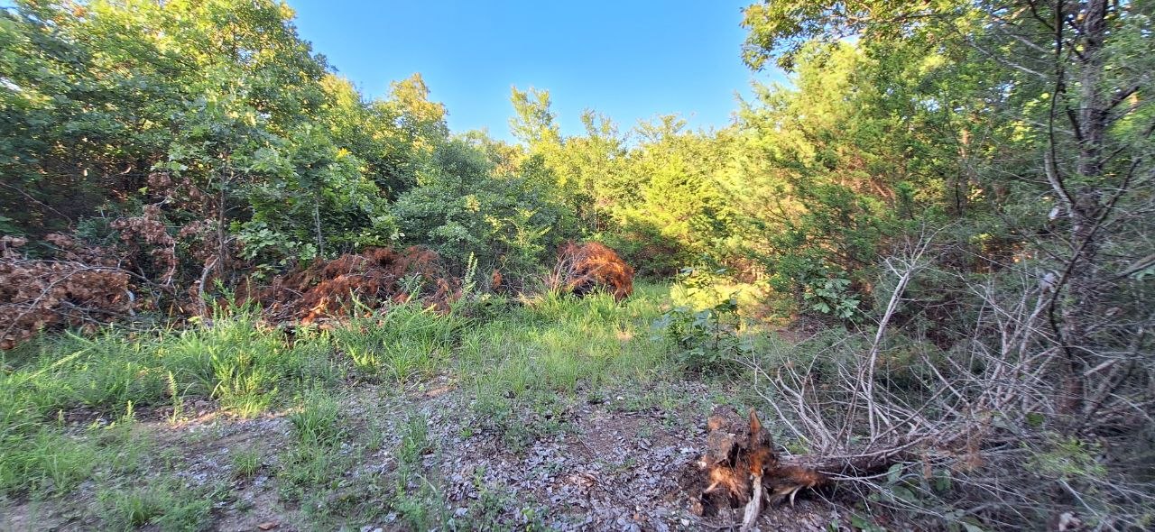 Tenkiller Dam 5 acres
