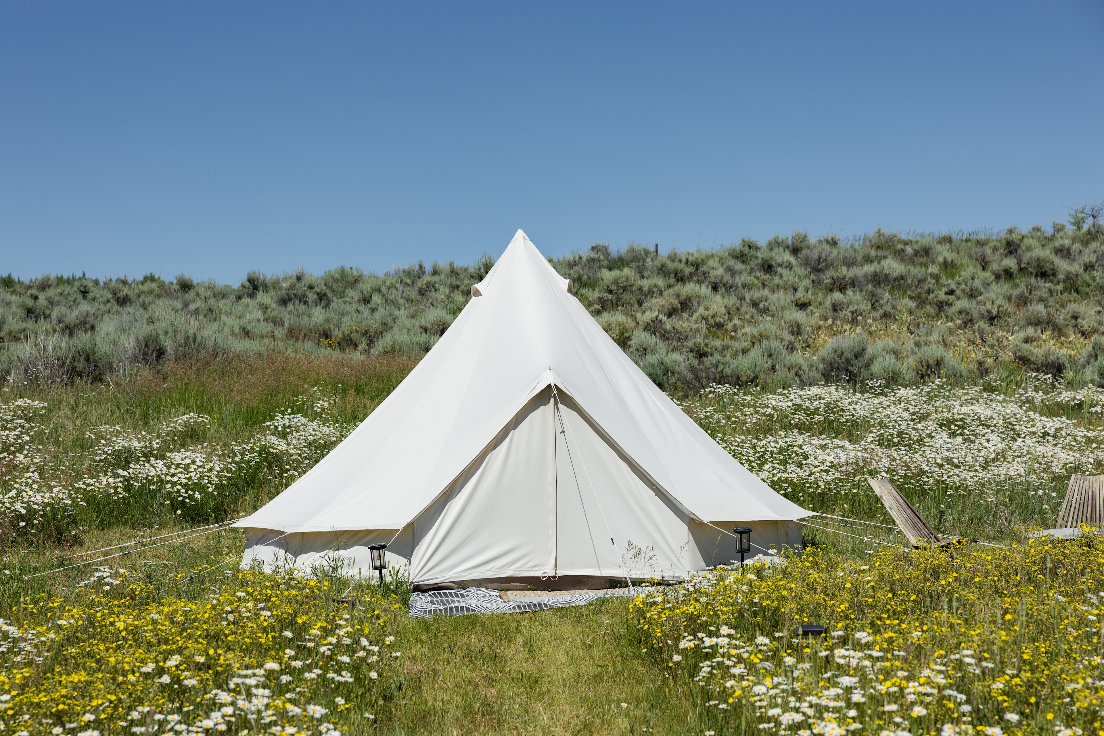 Teton Creekside Meadow Camp