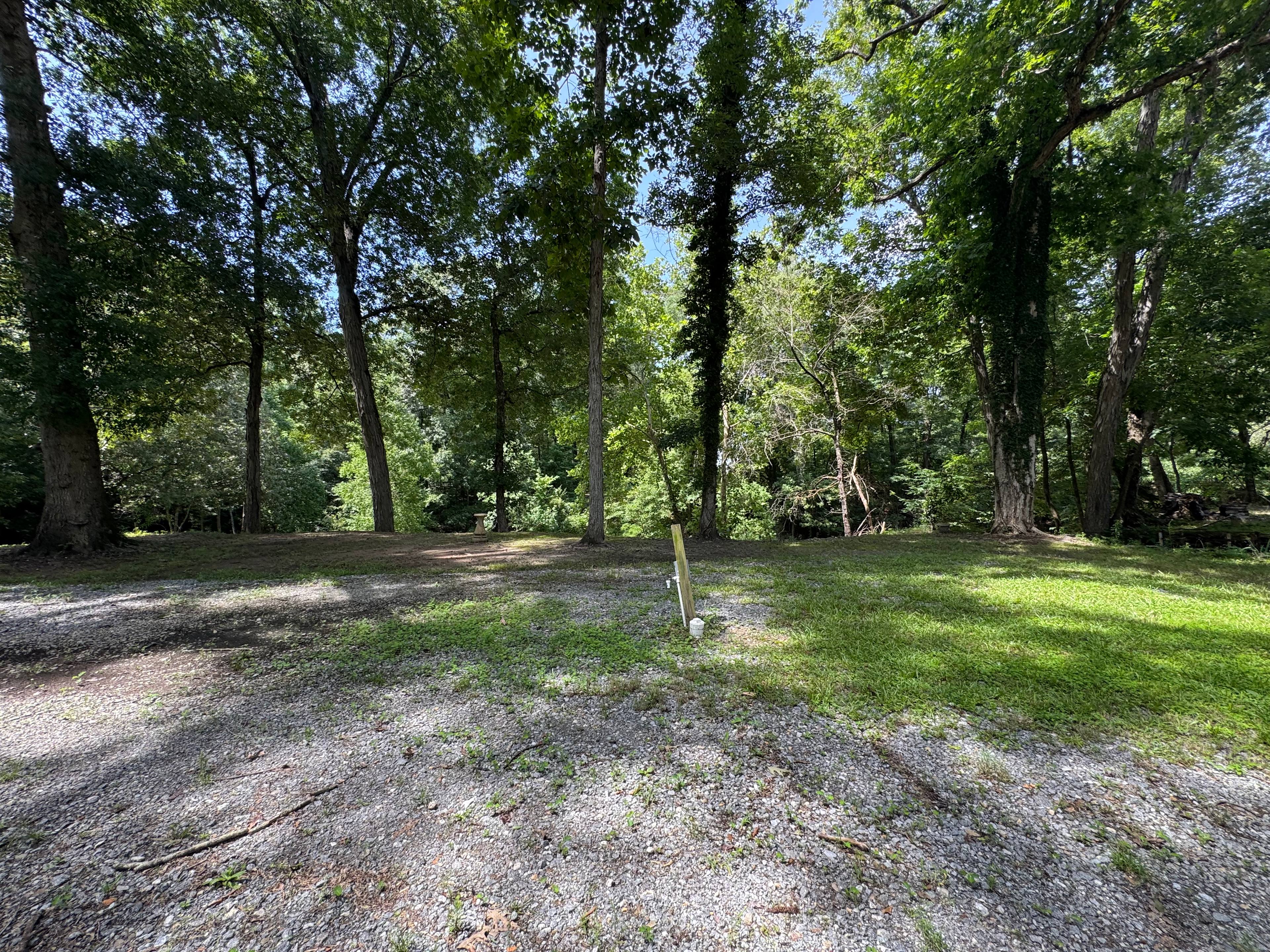 Site picture 