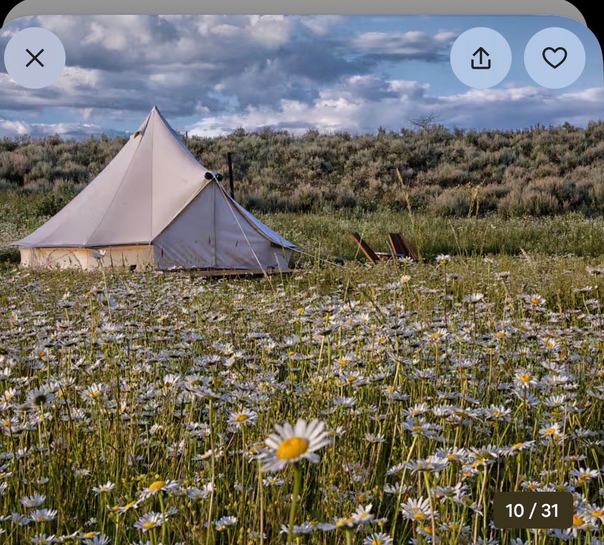 Teton Creekside Meadow Camp