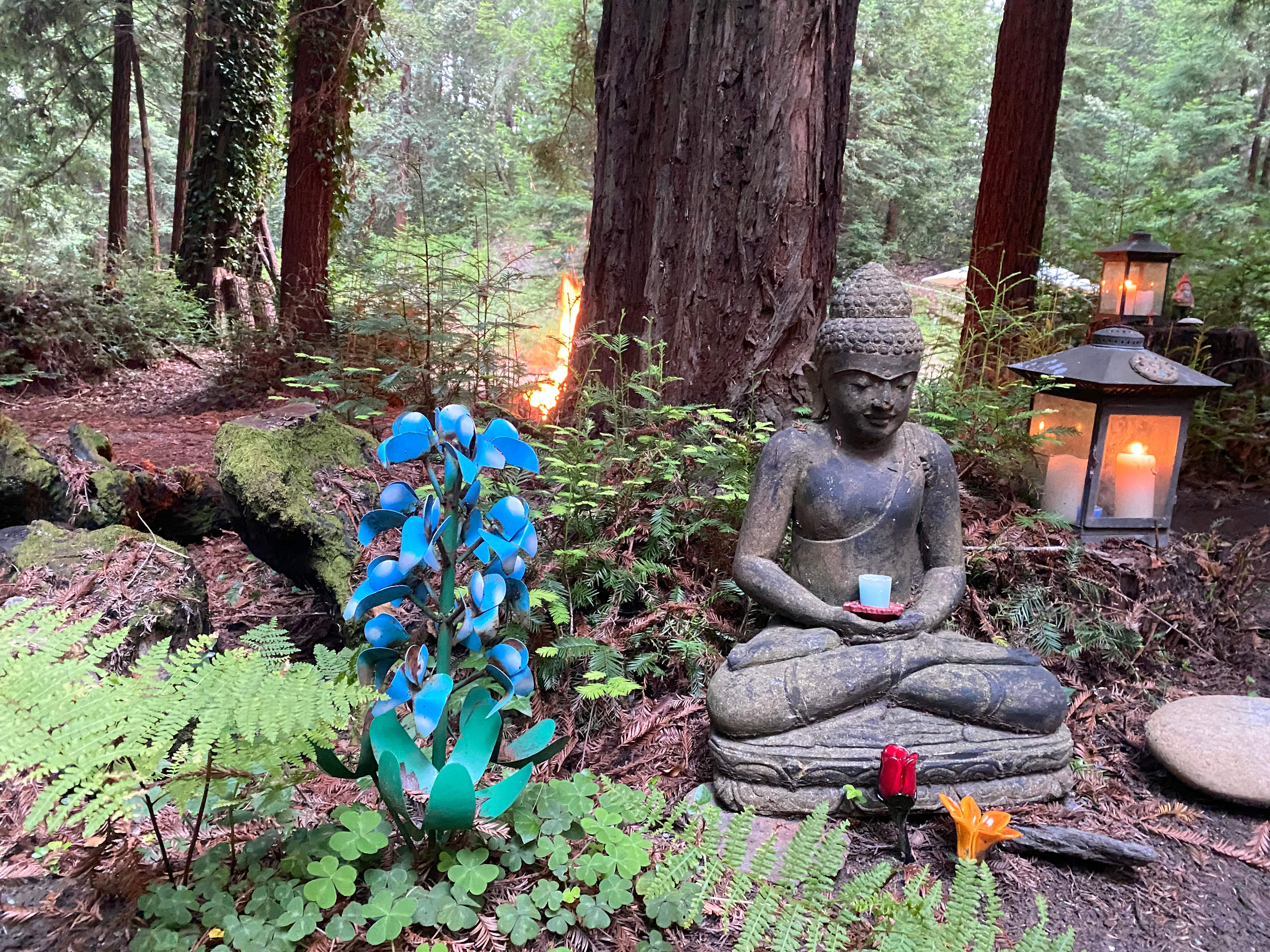 Yurtopia Glamping Retreat