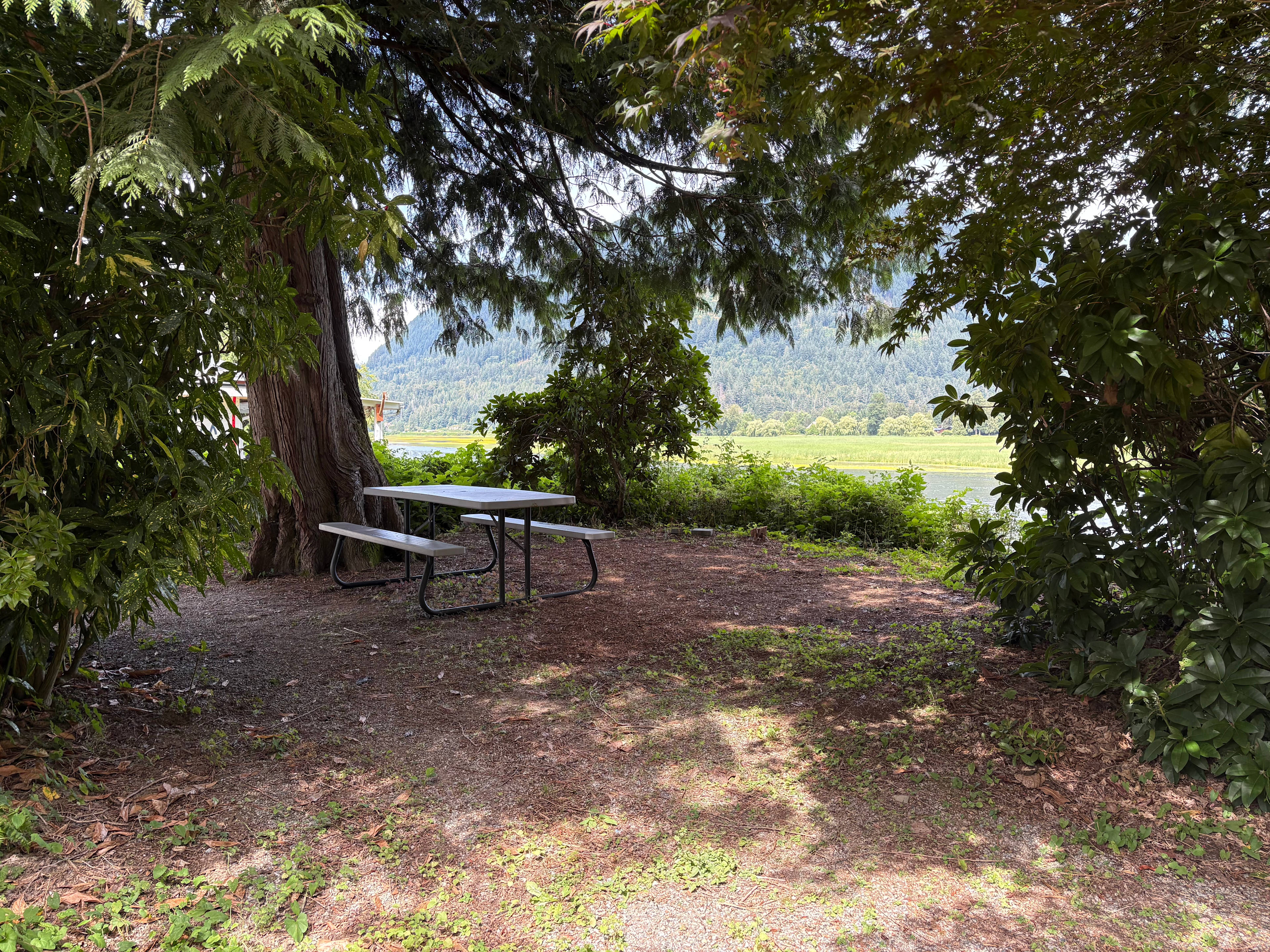 Hidden Gem - Lakeside campsite Mission, BC