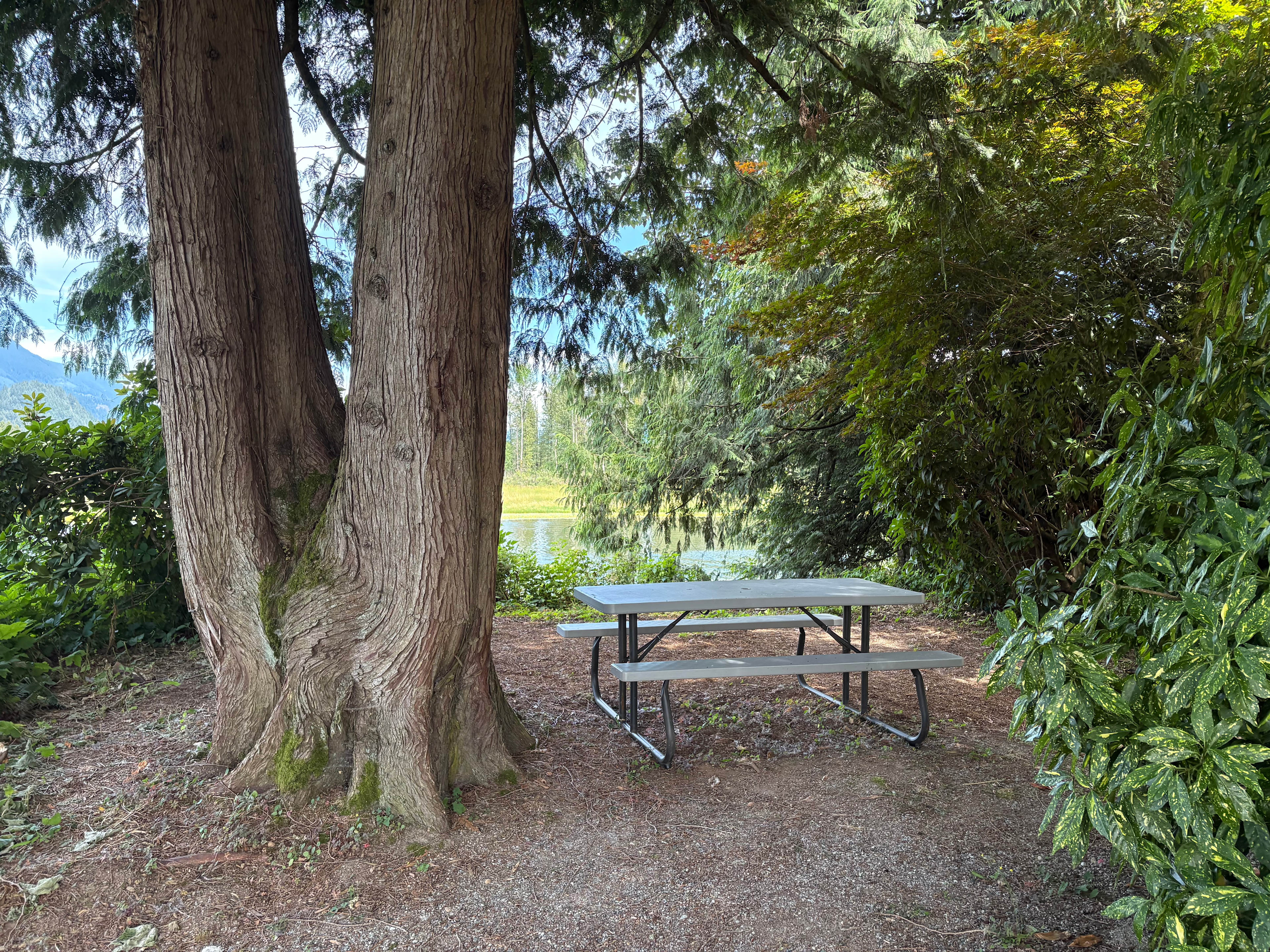 Hidden Gem - Lakeside campsite Mission, BC
