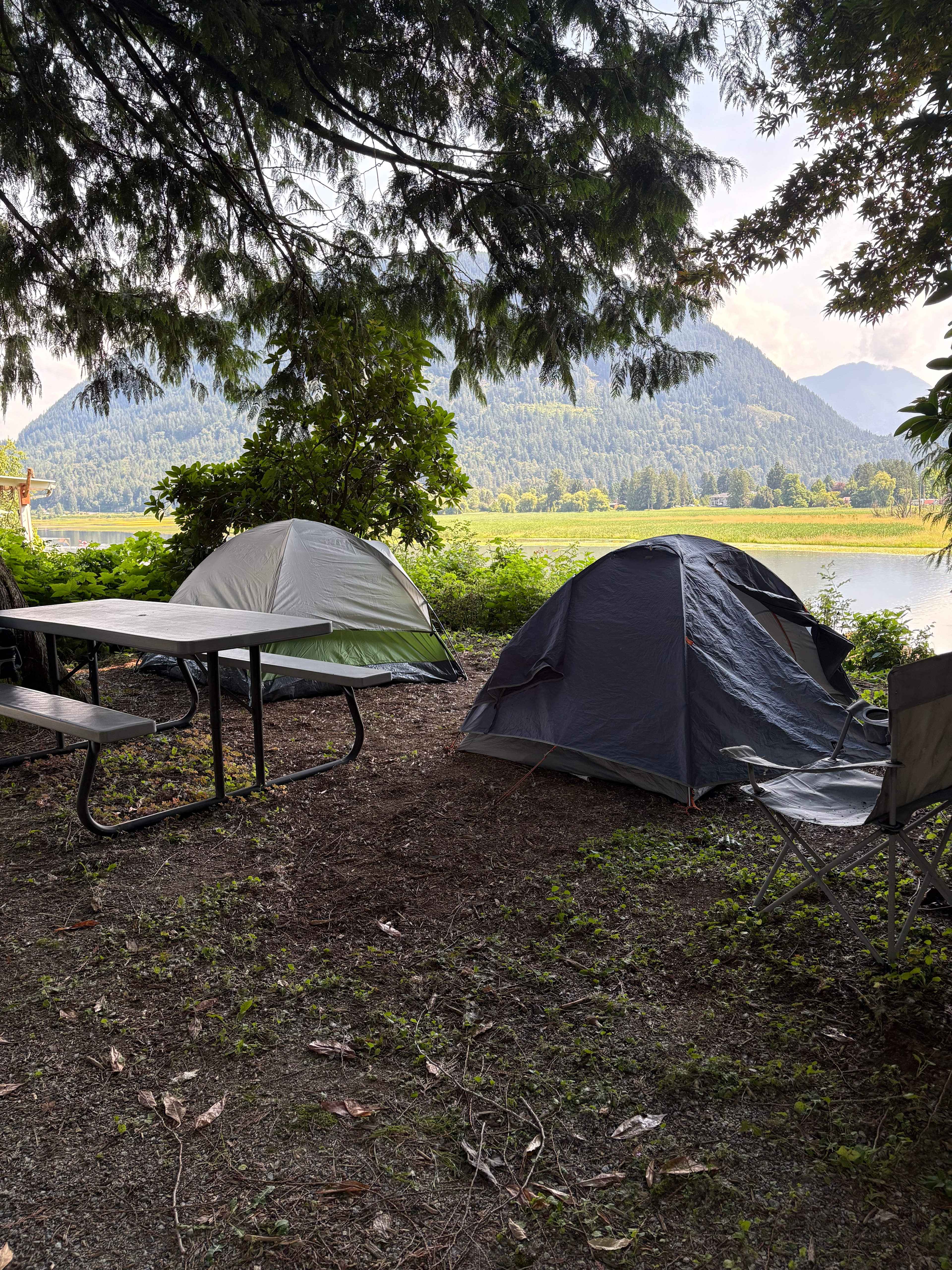 Hidden Gem - Lakeside campsite Mission, BC