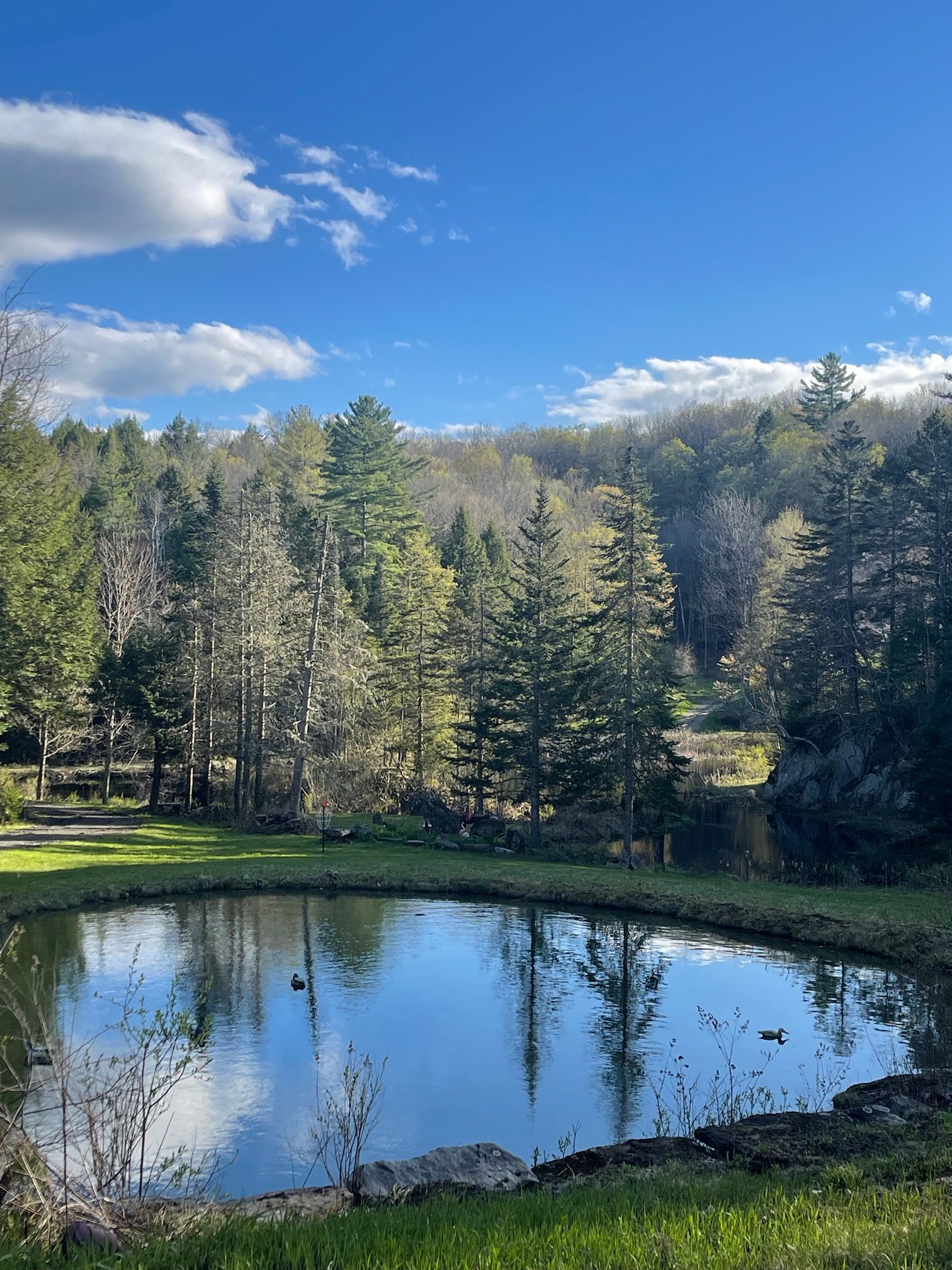 Shadow Pond on 28 Peaceful Acres
