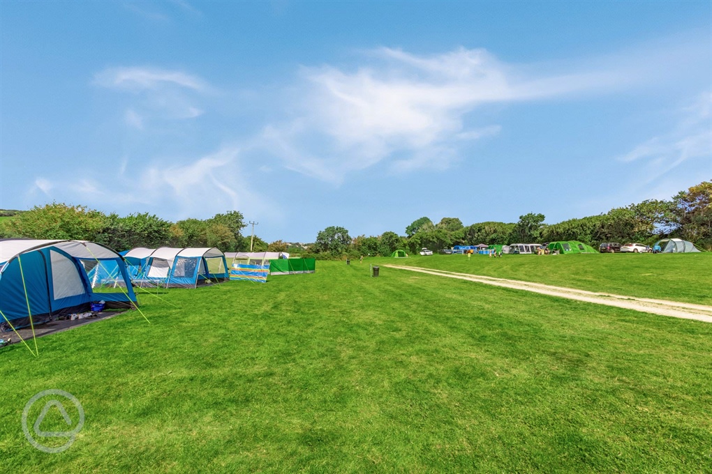 Court Farm Campsite