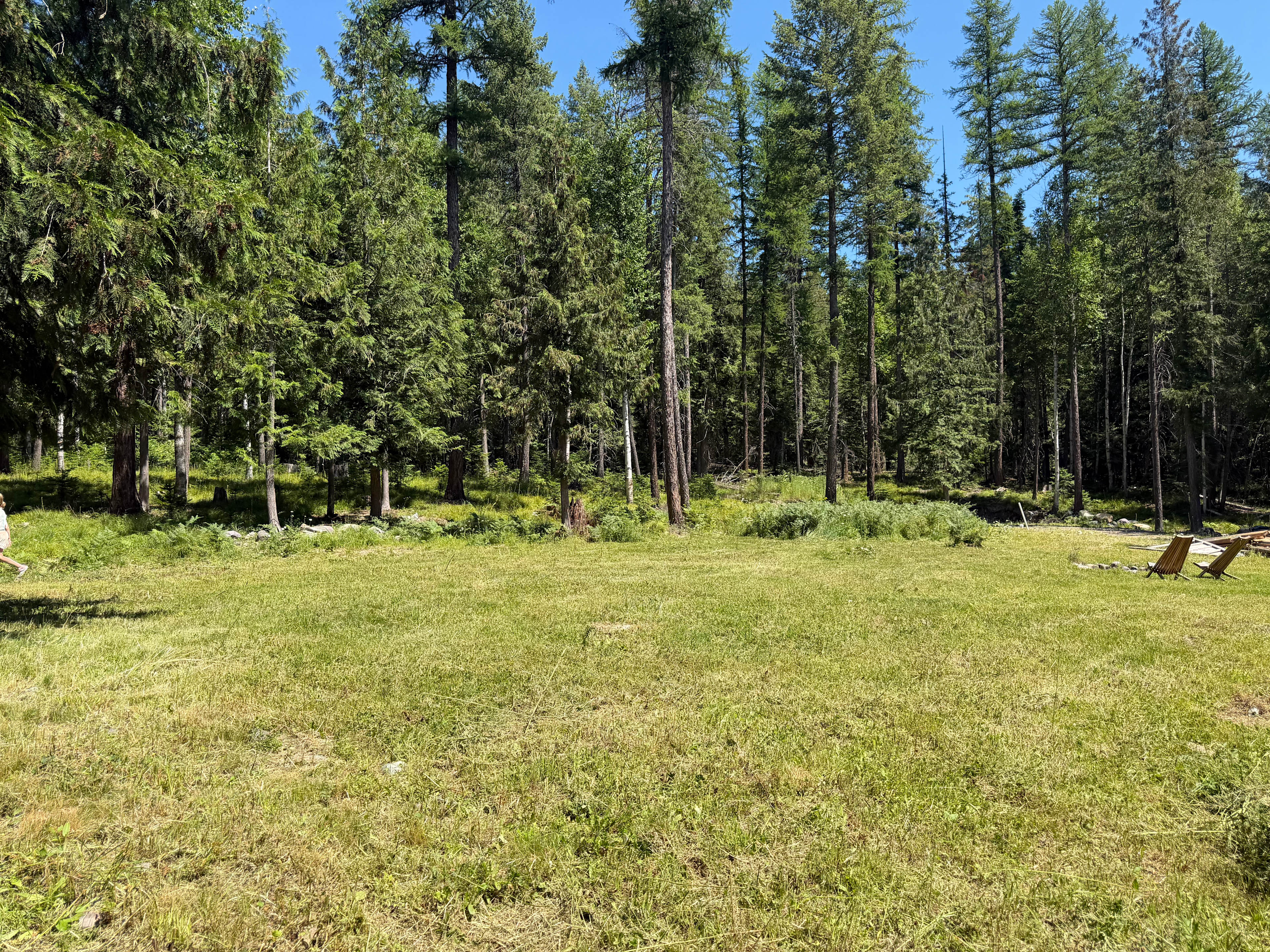 Home Sweet Wild