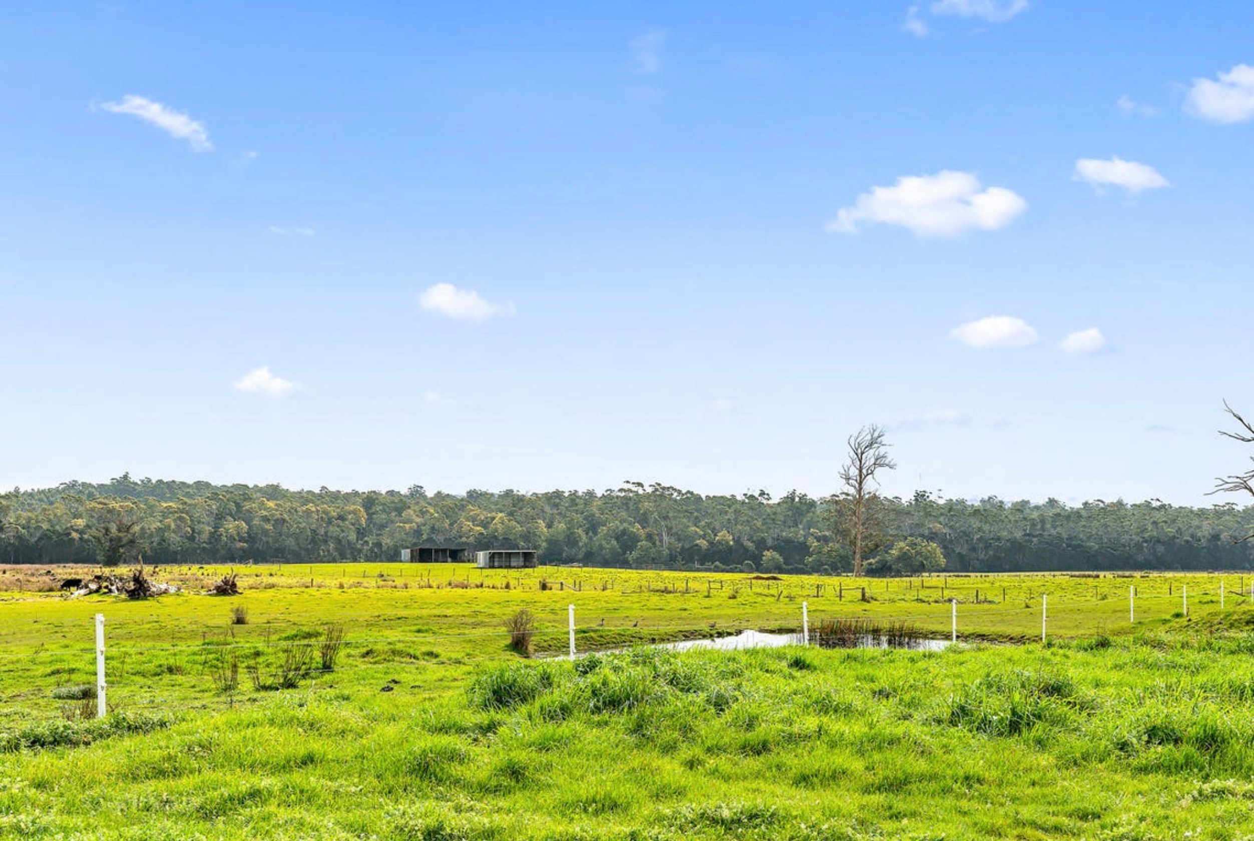 Pipers Lodge Farmstay - Horses Welcome