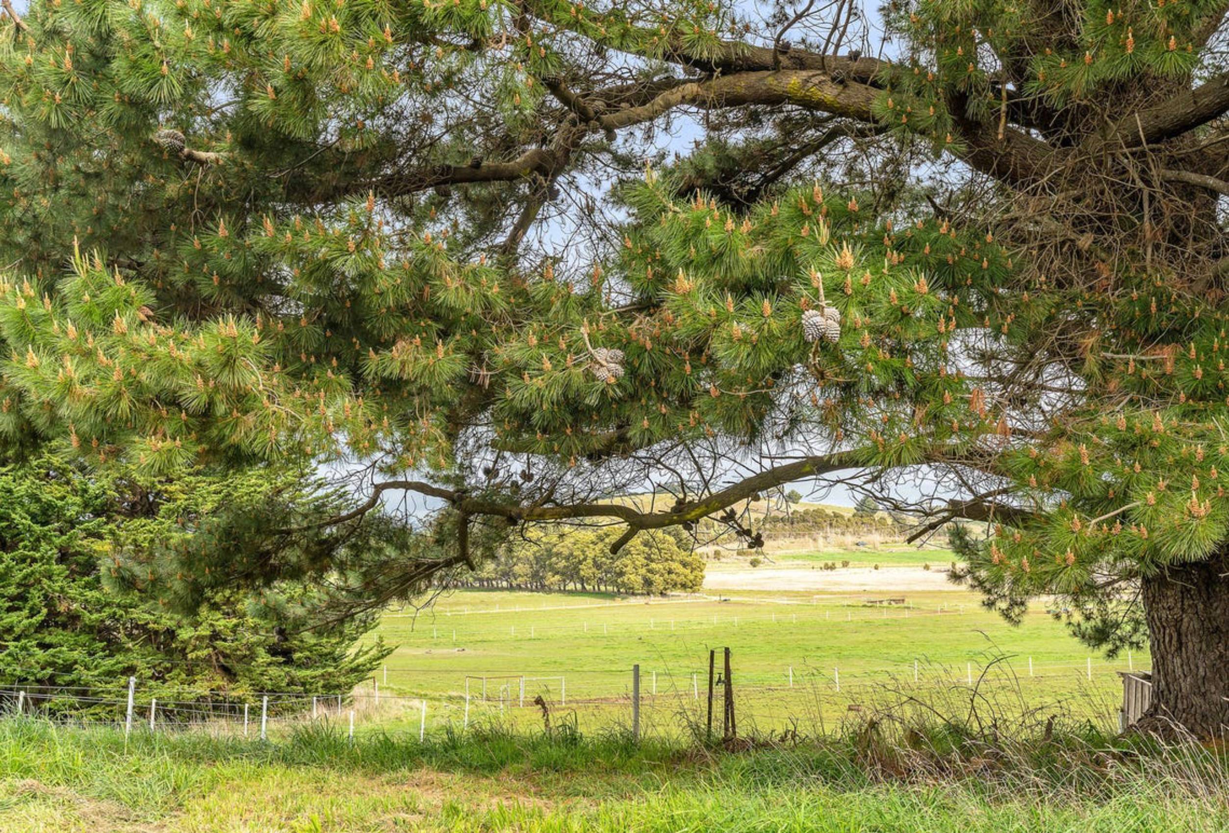Pipers Lodge Farmstay - Horses Welcome