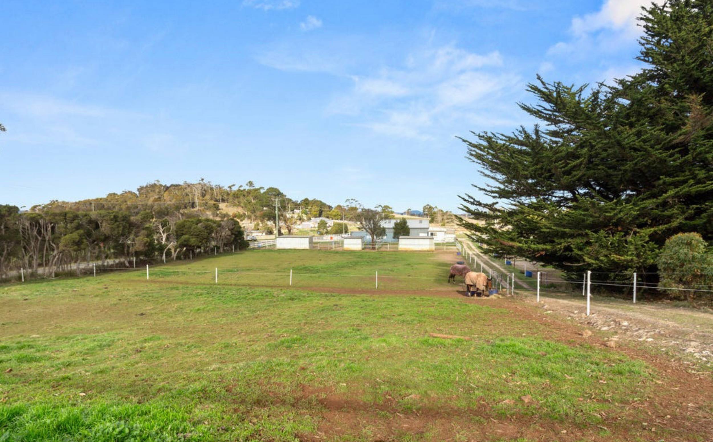 Pipers Lodge Farmstay - Horses Welcome