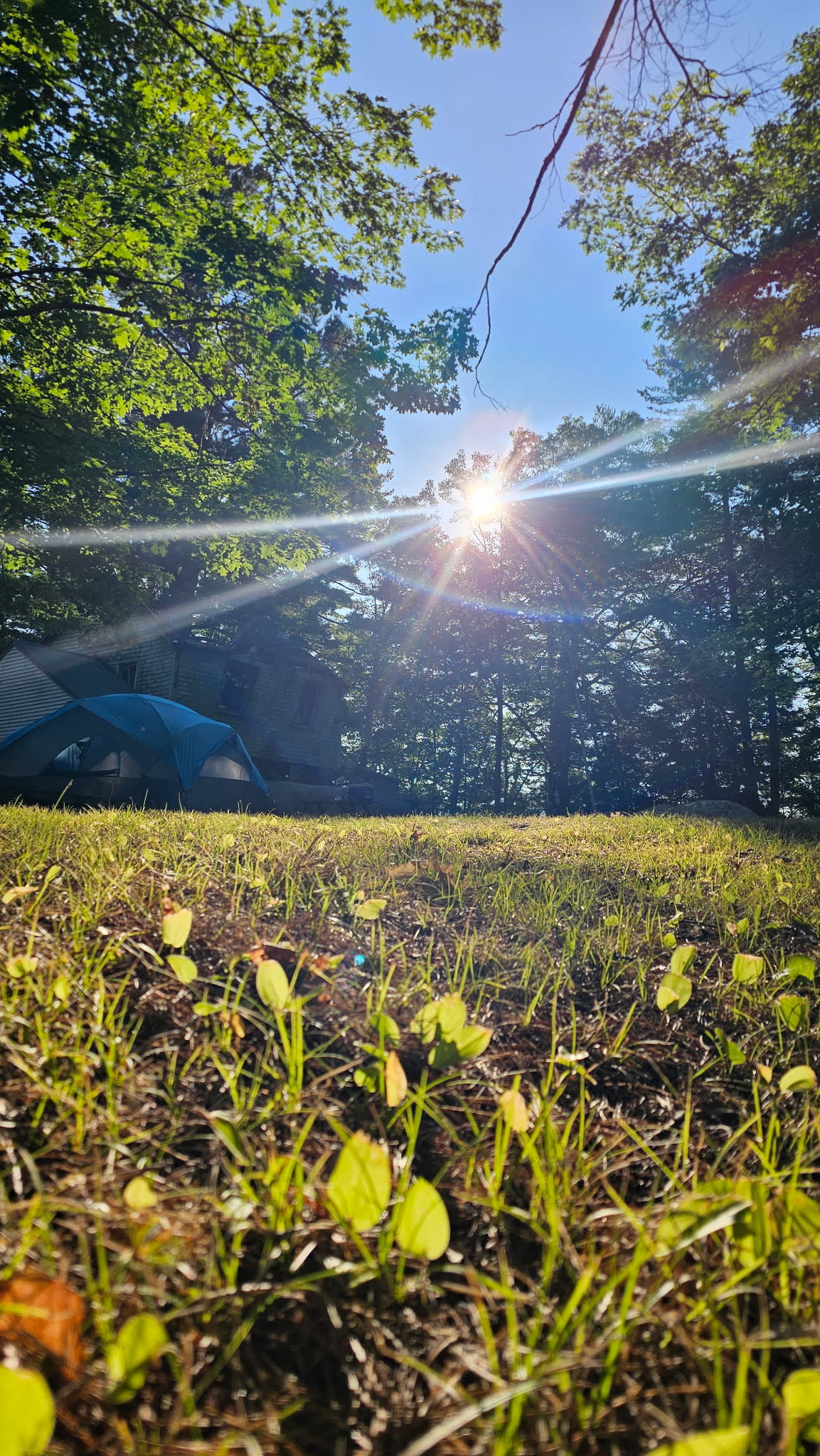 Tall Pines Island Camping