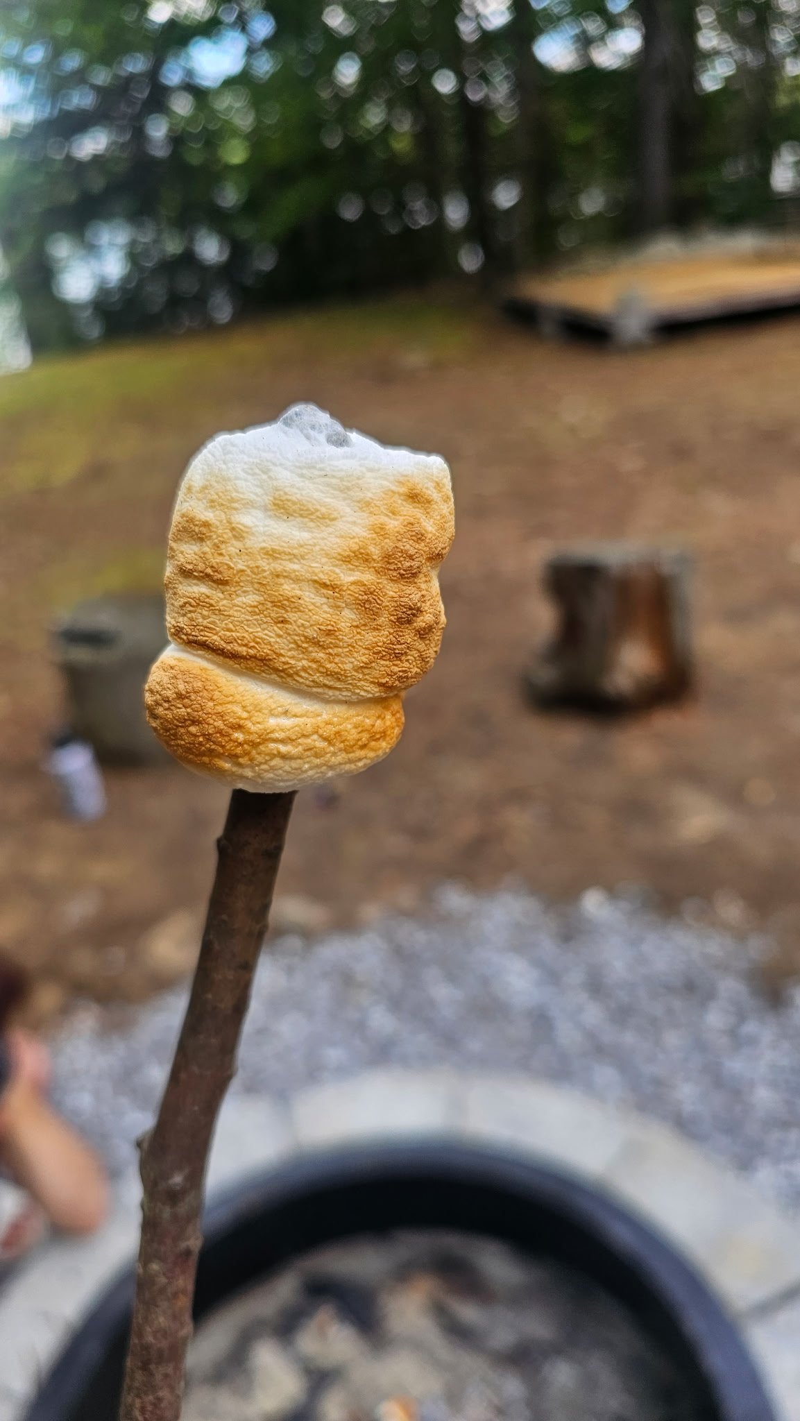 Tall Pines Island Camping