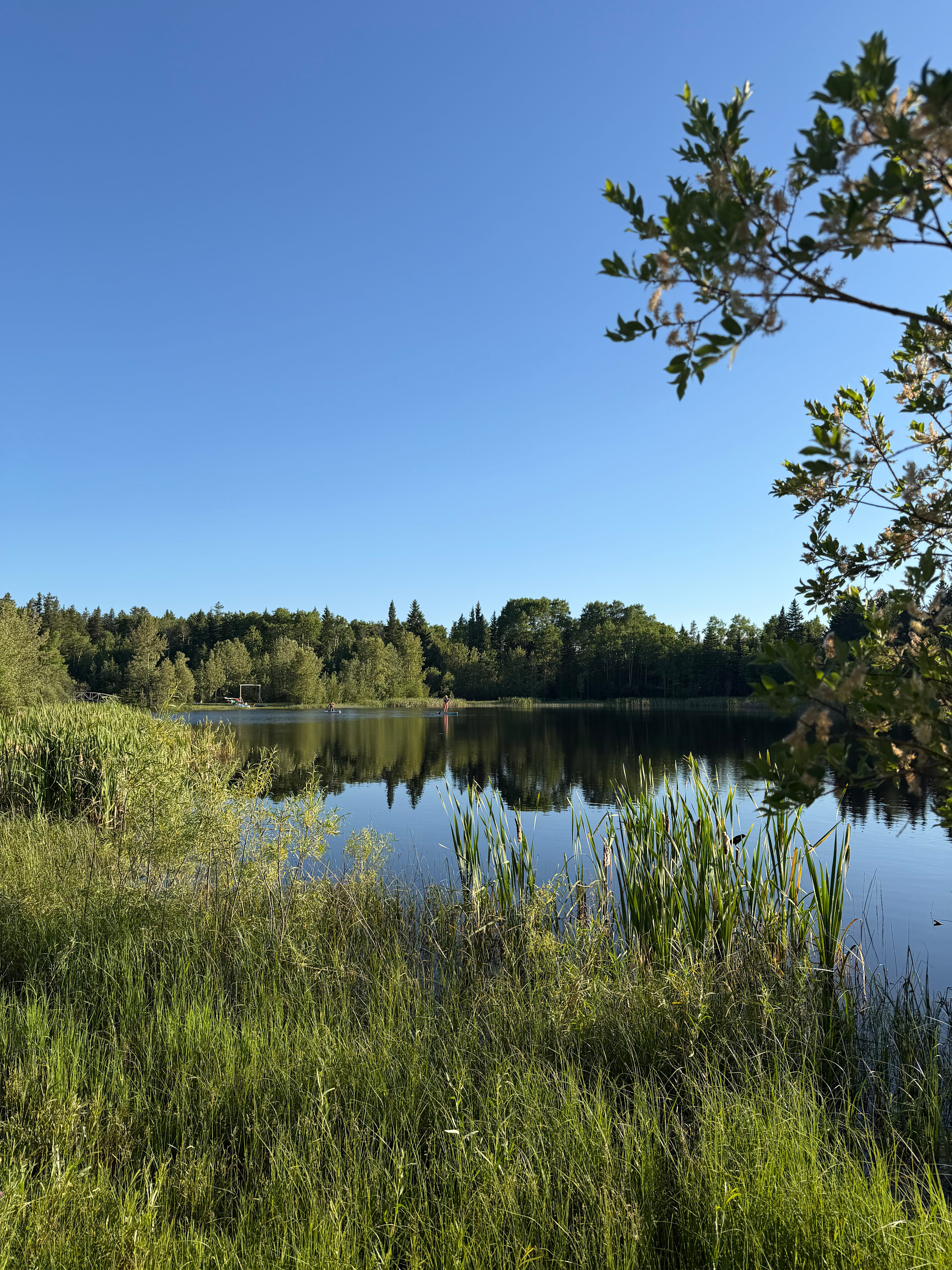 Wellness Retreat