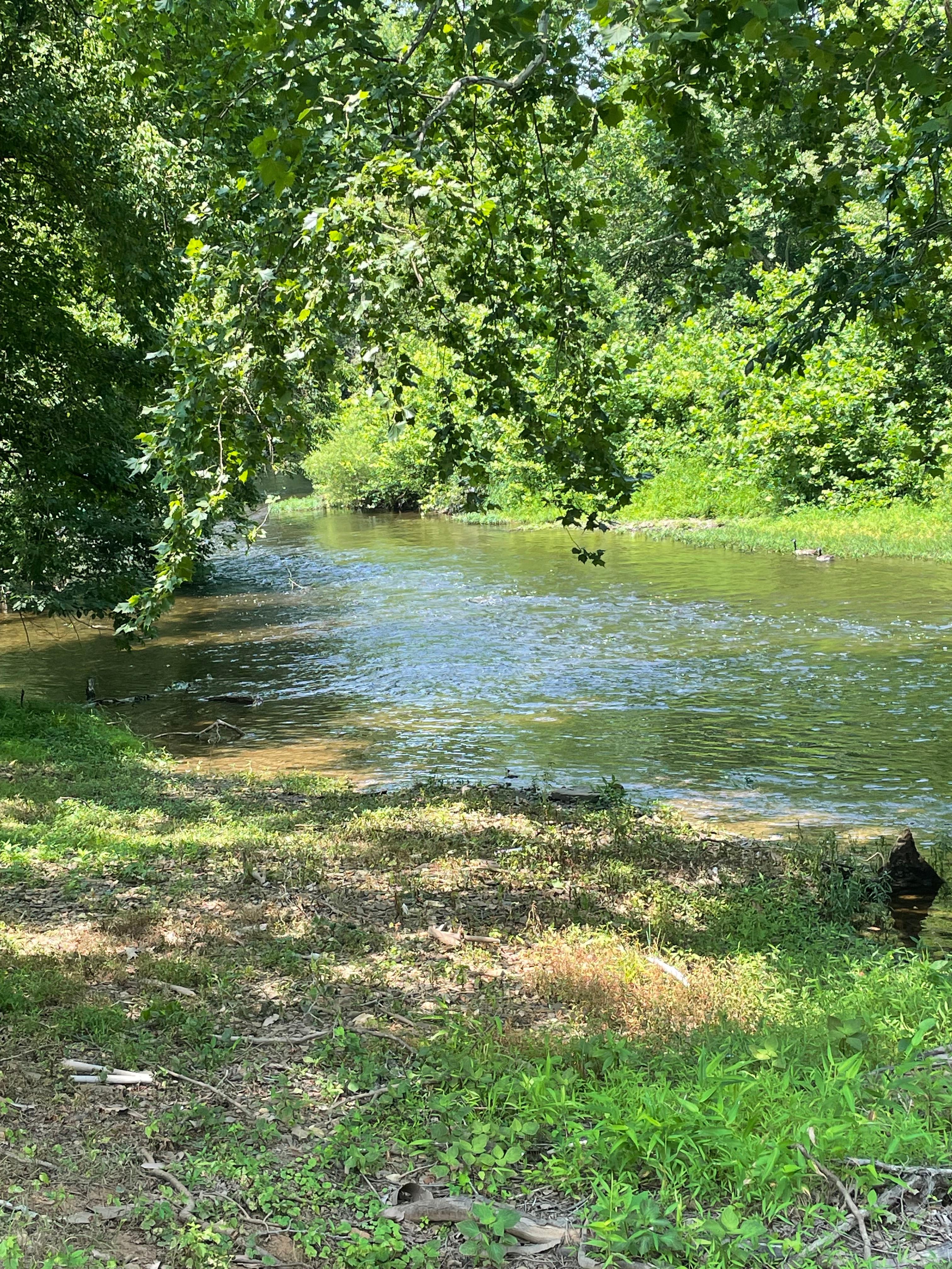 Camping at Criag Creek