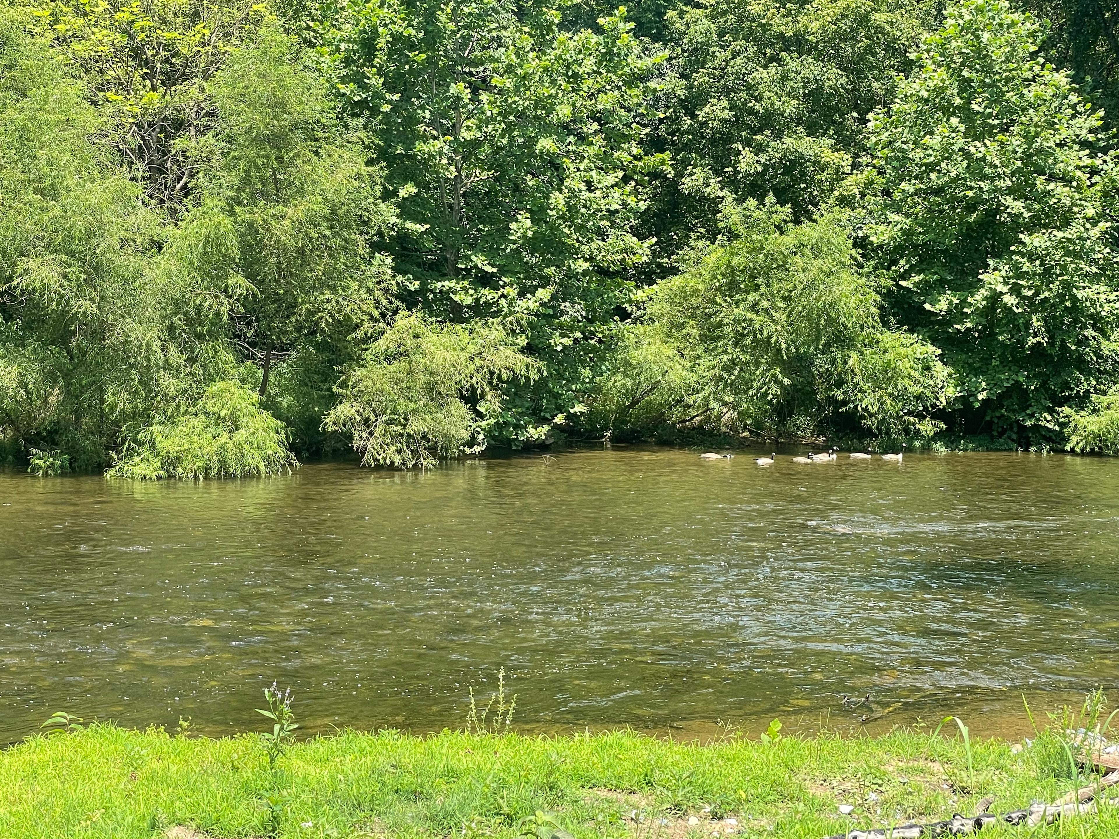 Camping at Criag Creek