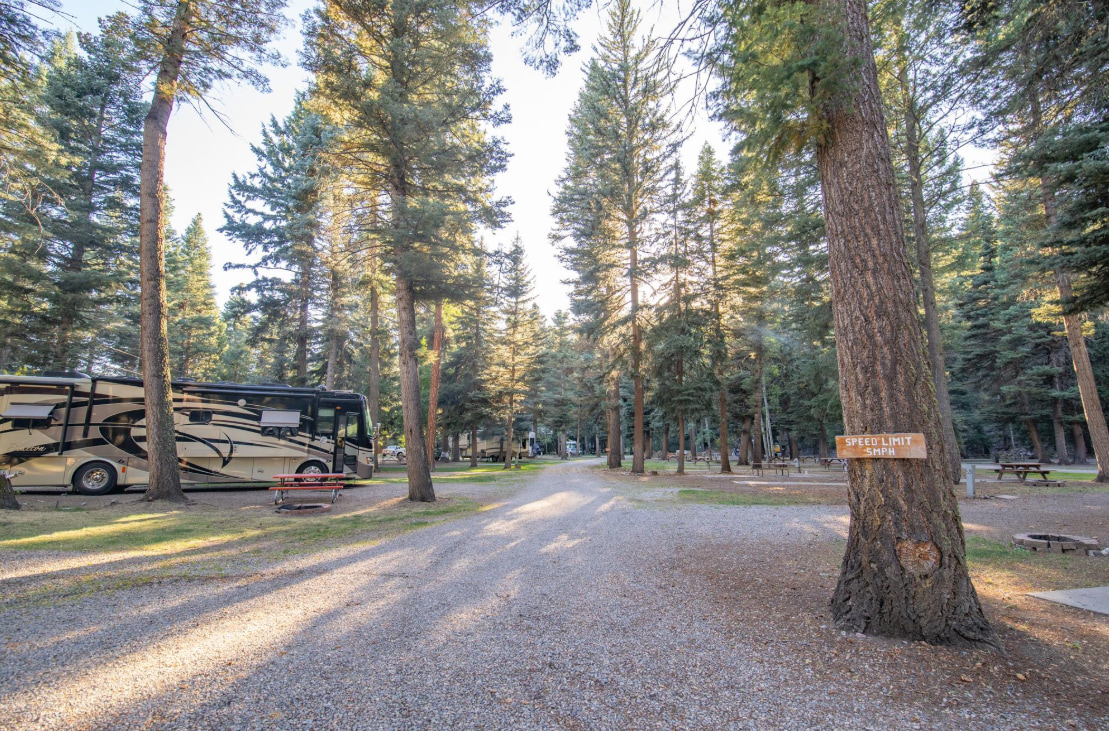 Blue Spruce RV Park & Cabins