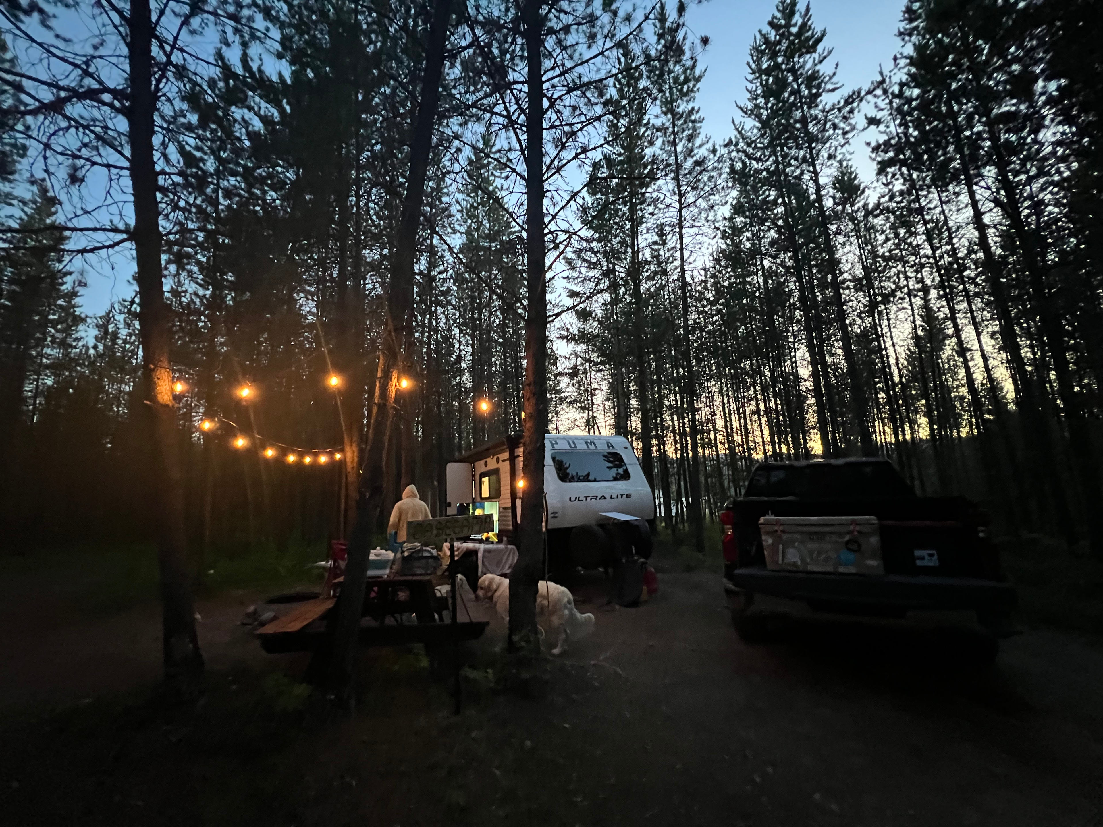 Glacier Basecamp 🏕️