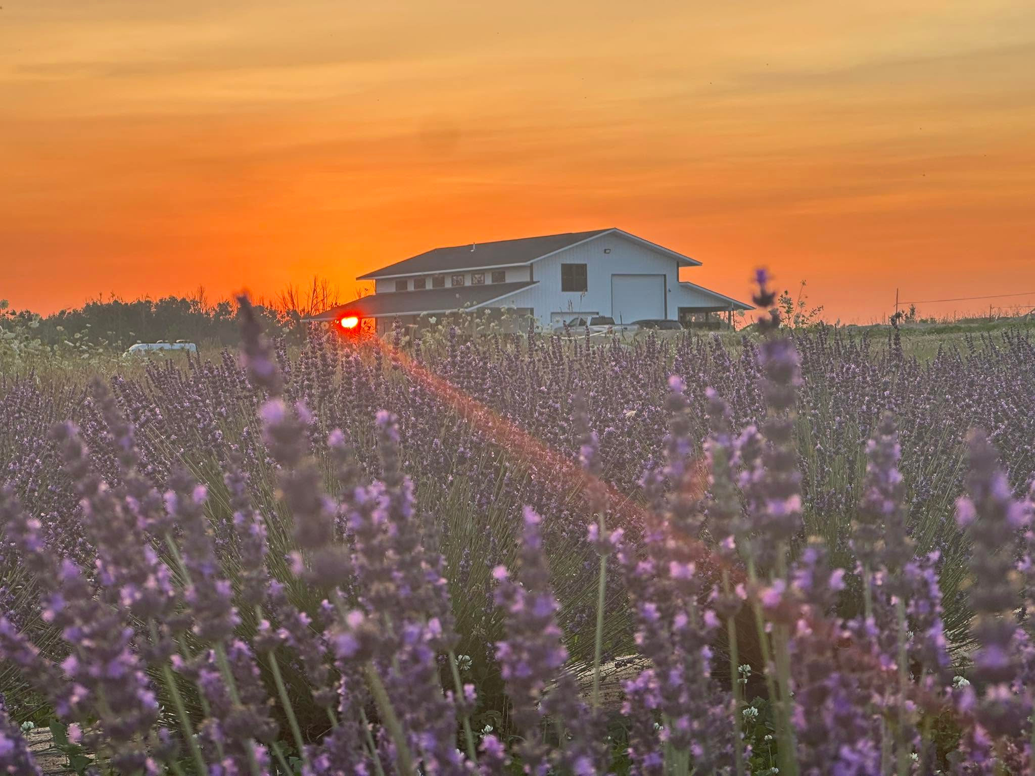 MI Lavender Farm & Bike Path