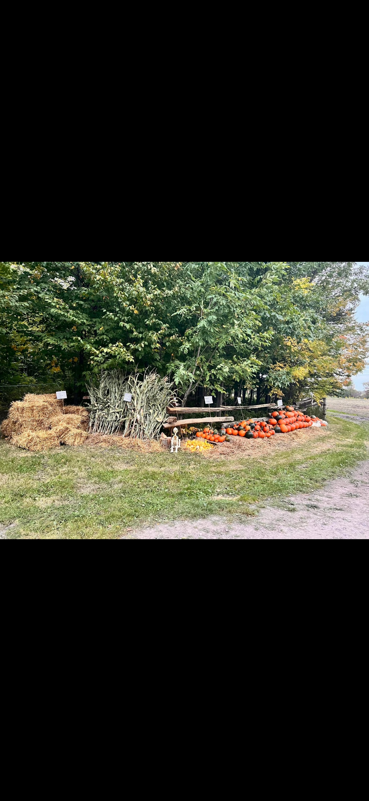 Big Rock Farm