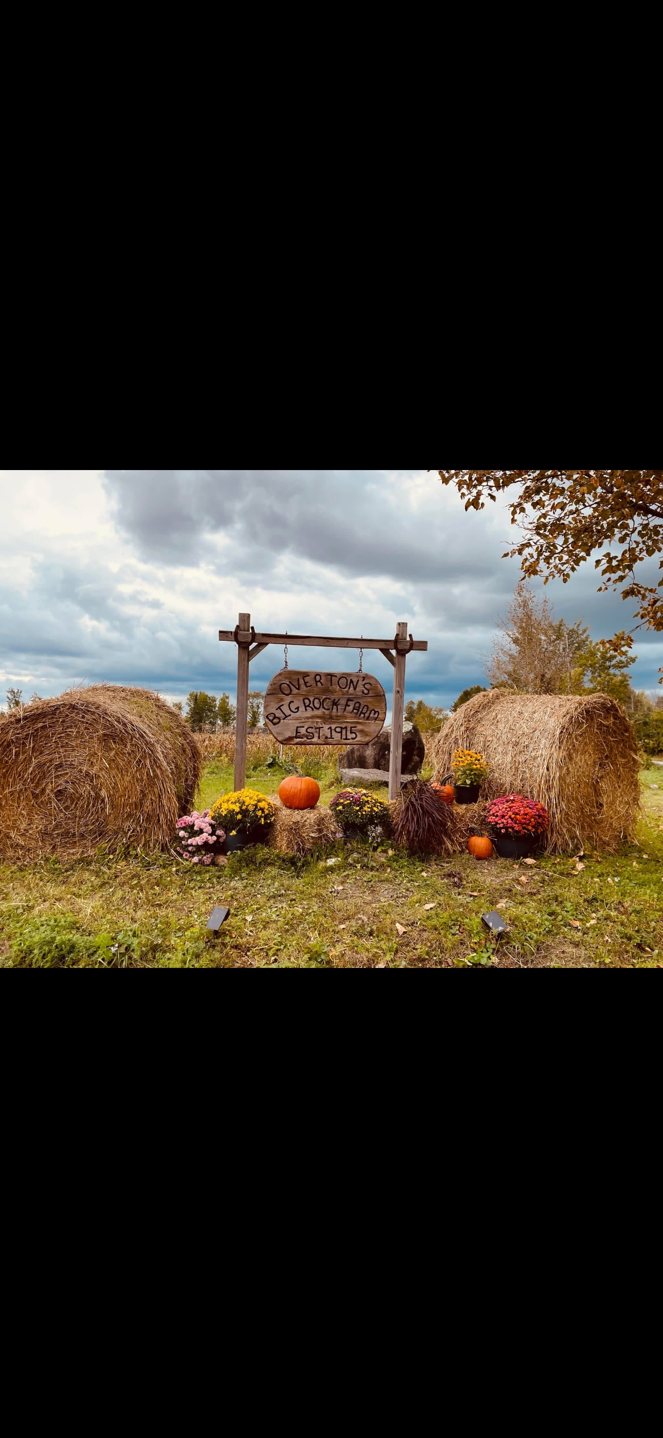Big Rock Farm