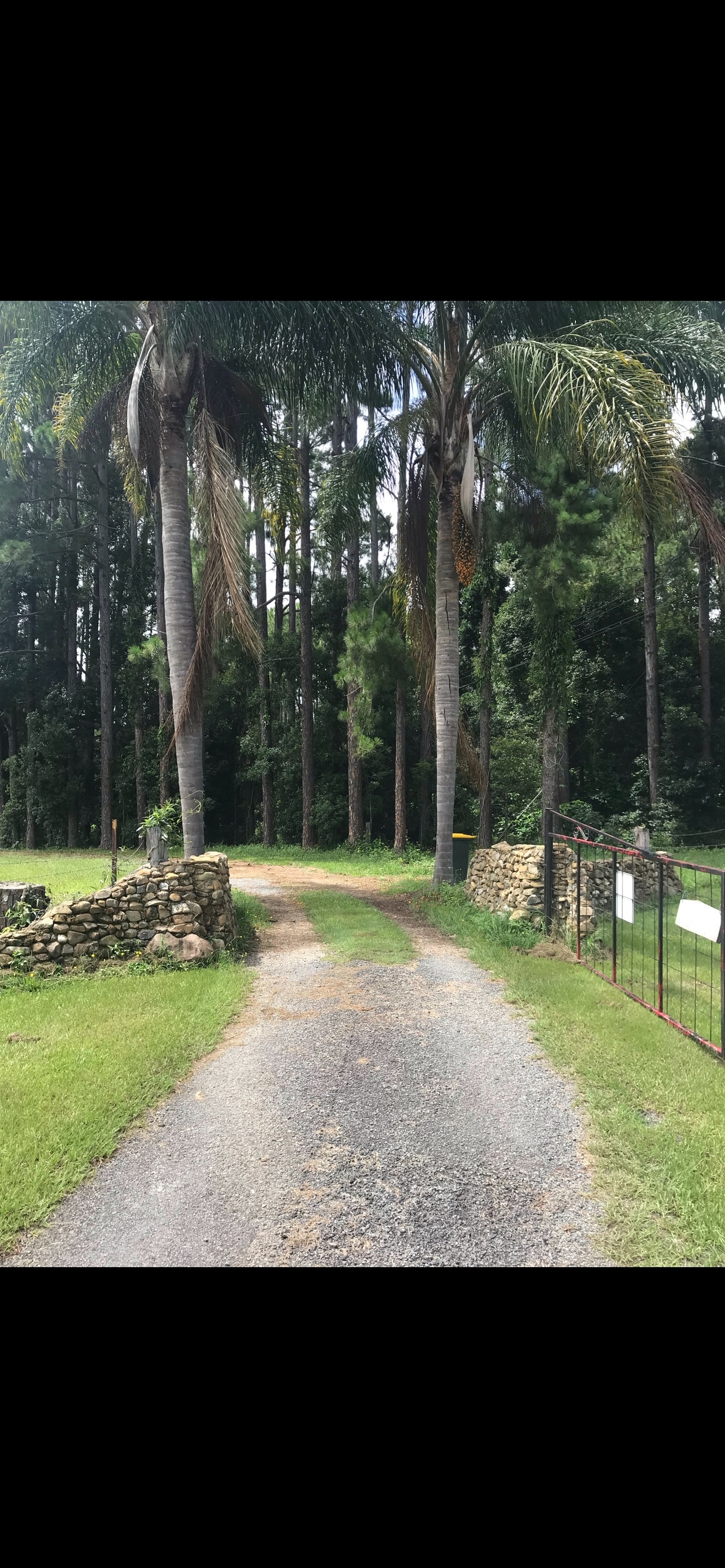 The Secret Place