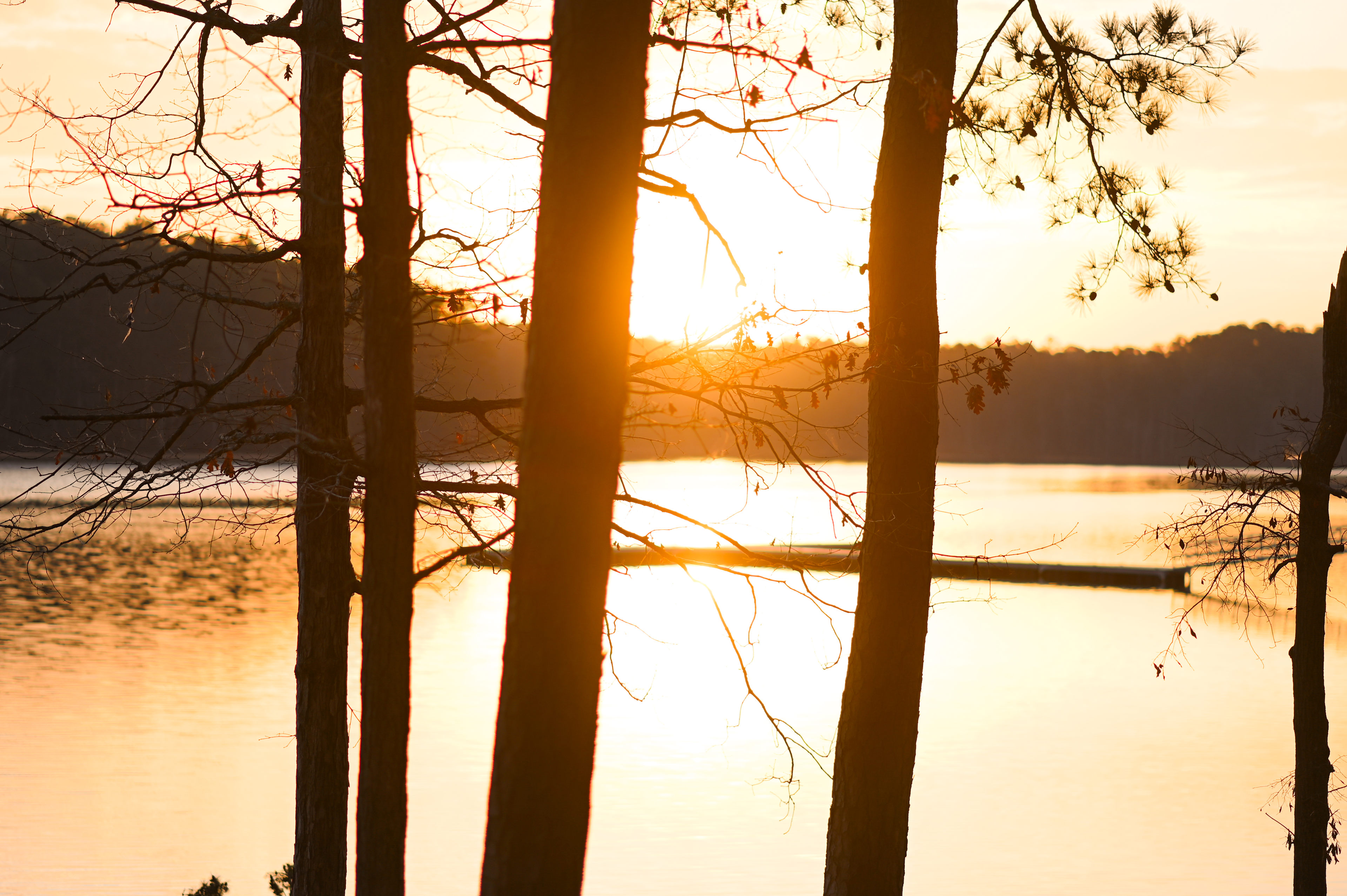 Timberline Glamping Tuscaloosa
