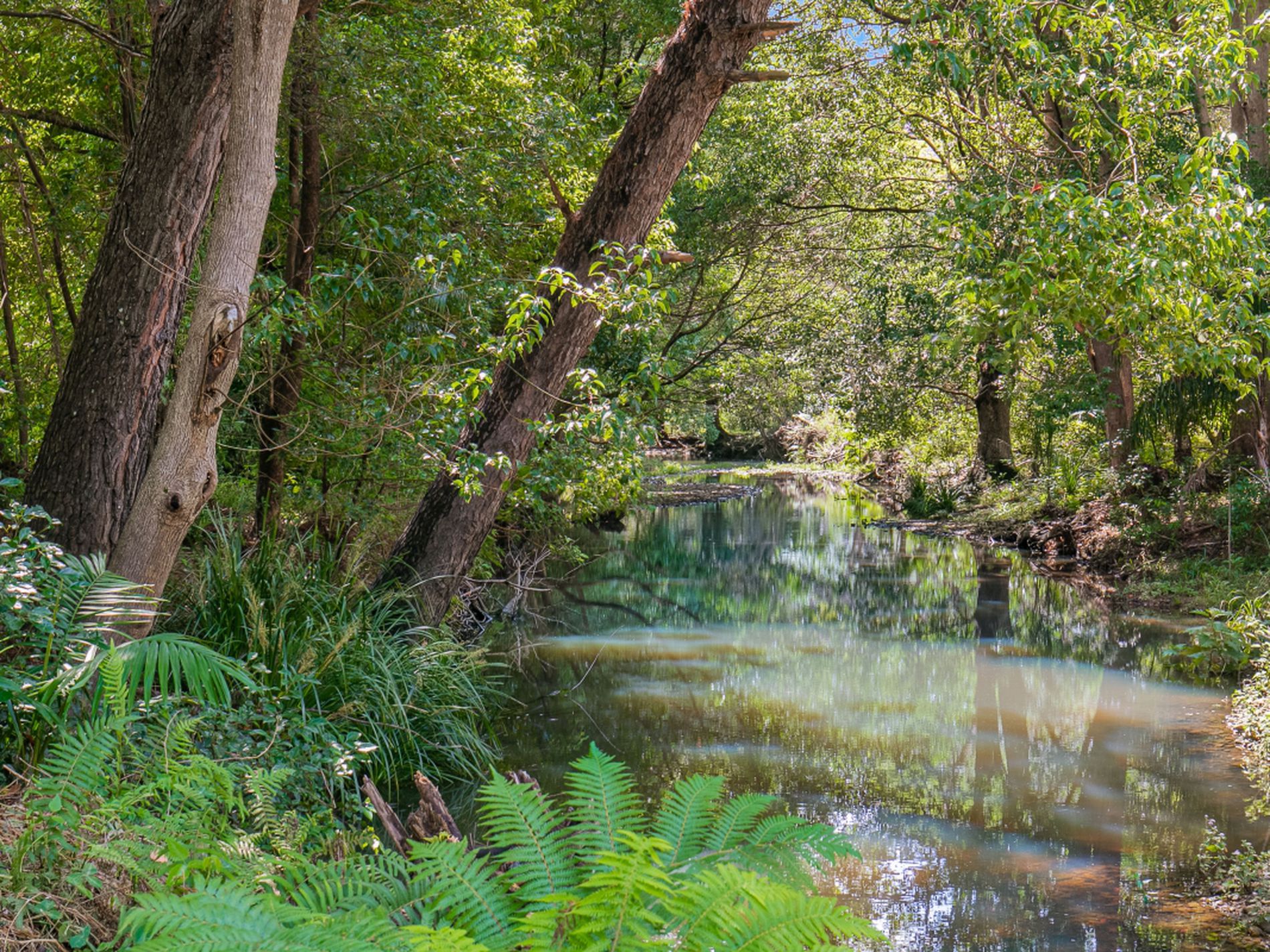 The Secret Place