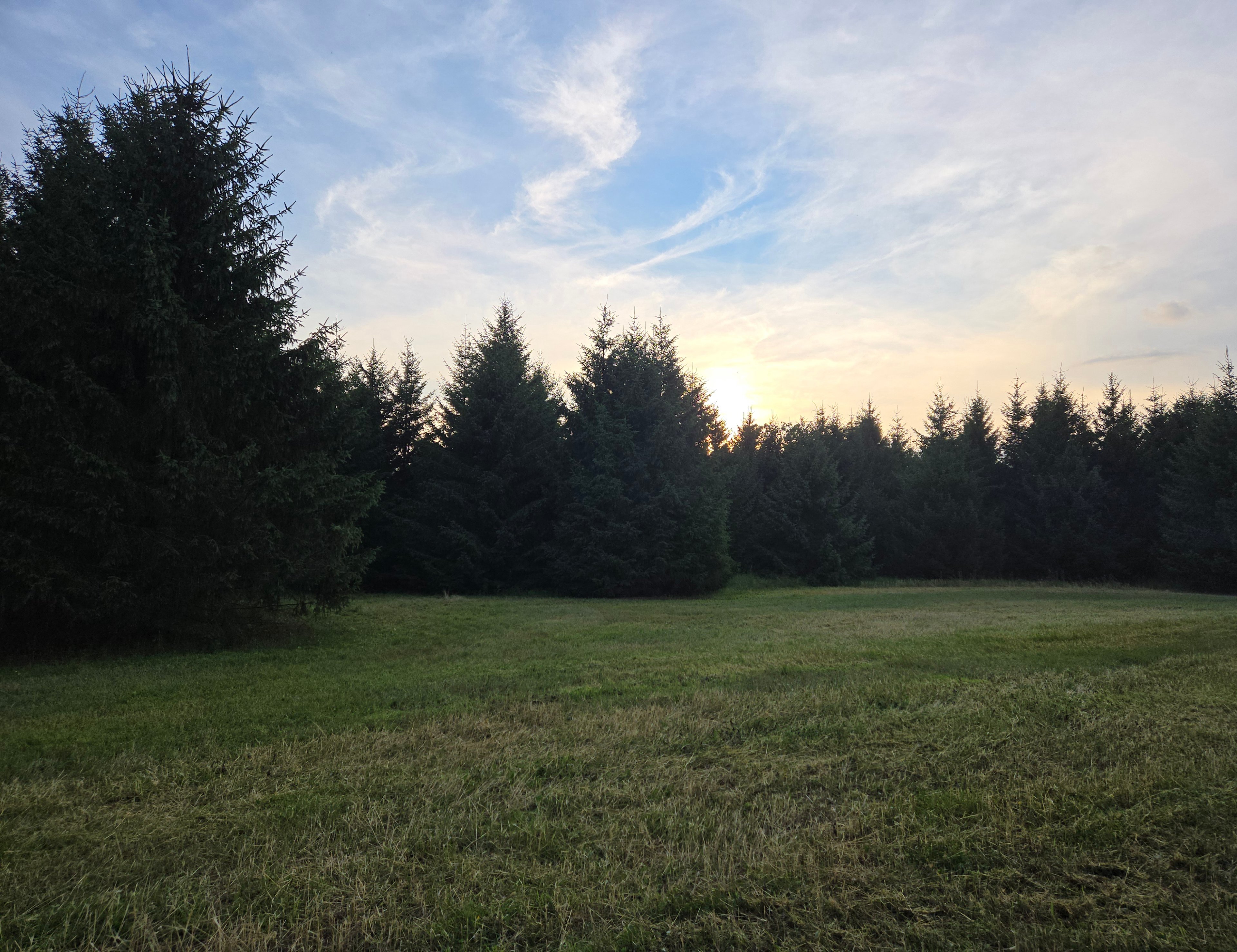 F-Around Ranch
