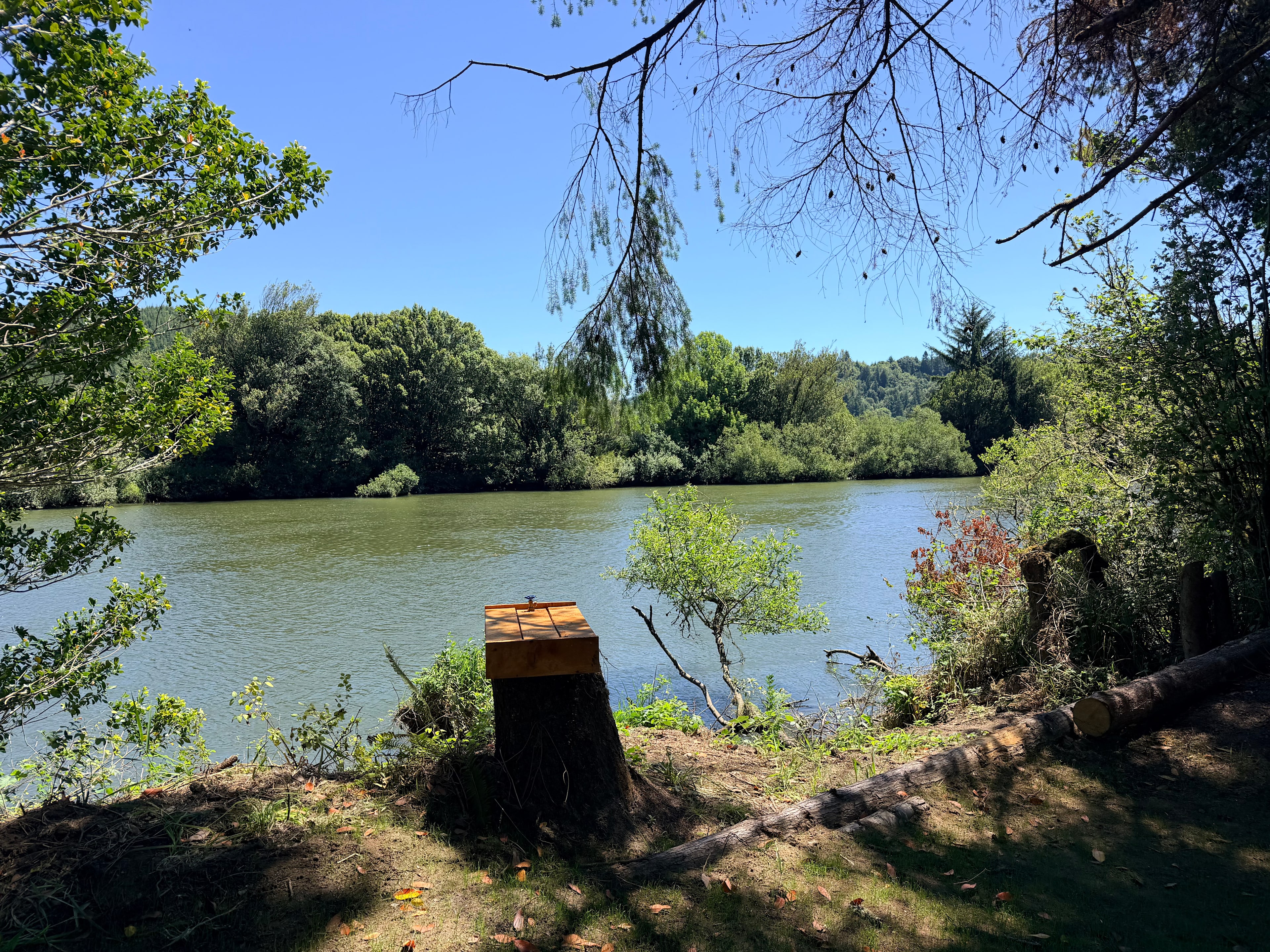 Campsite B