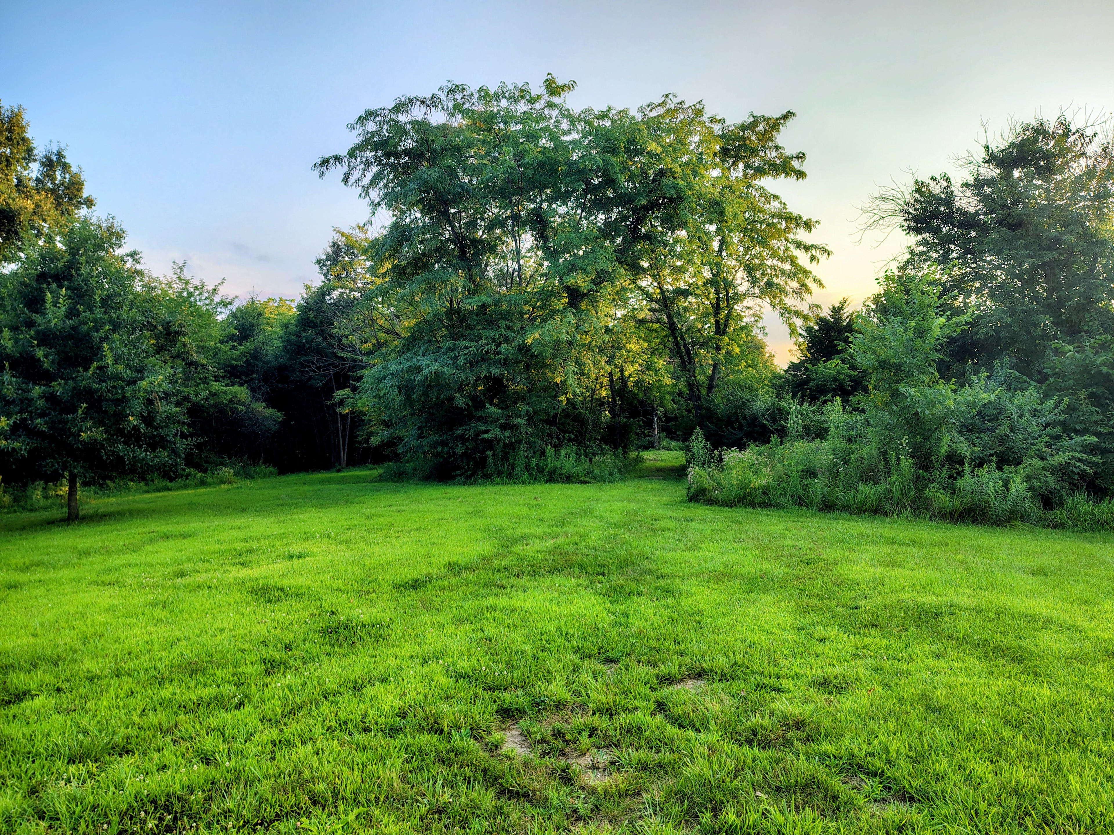 The Quiet Acre