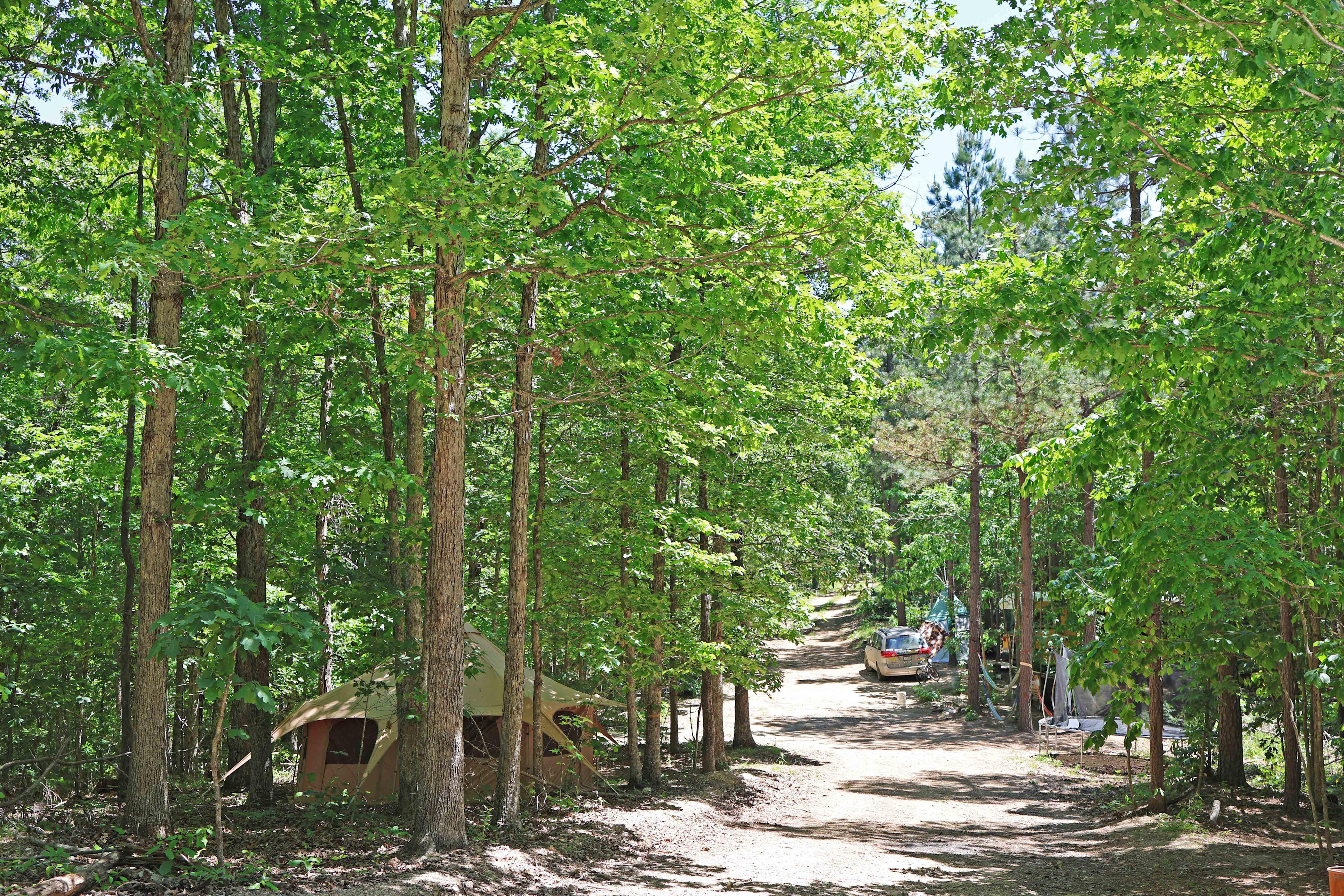 ForestKind primitive hippie haven