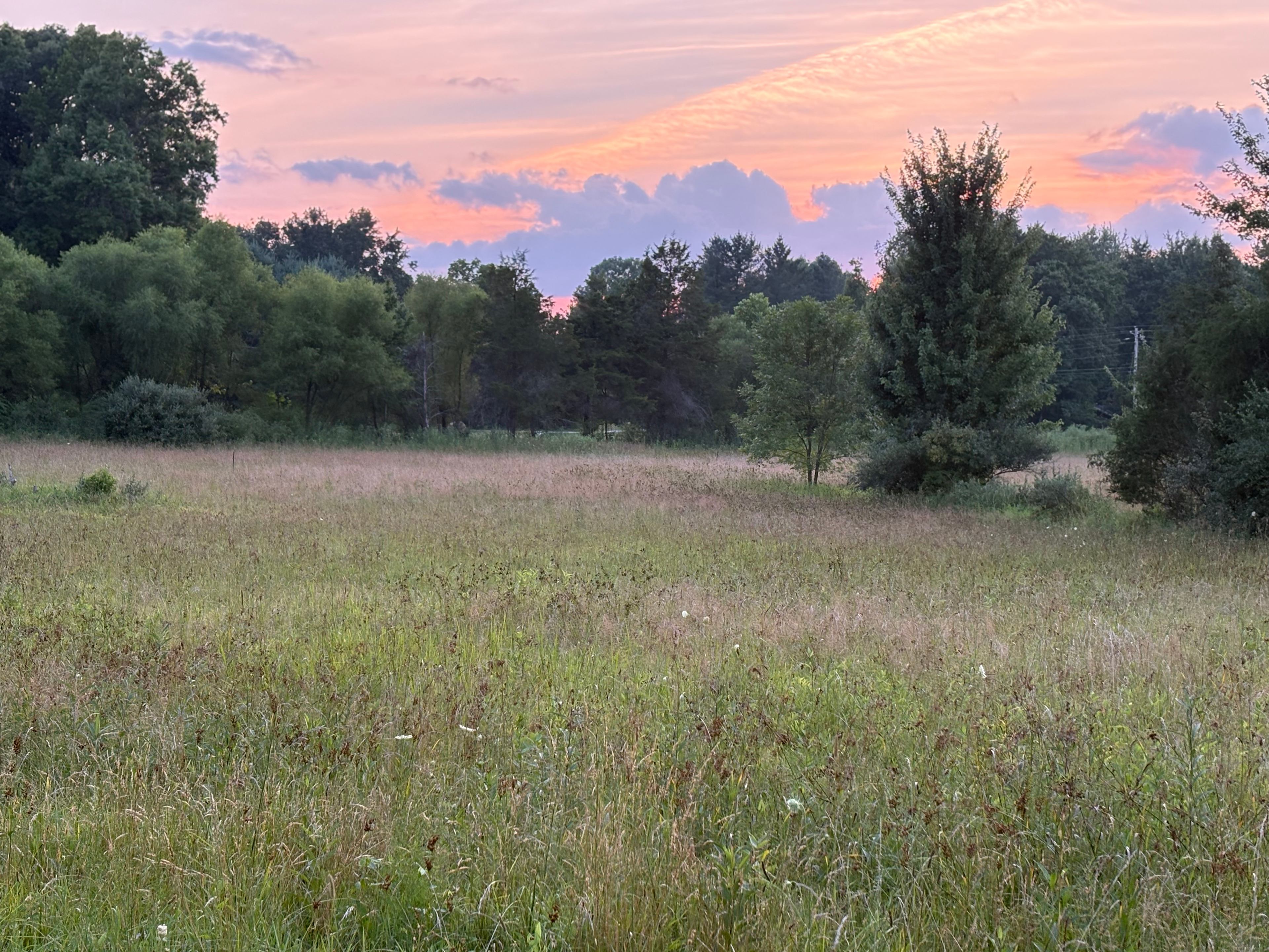 Wander-land at Wildflower Creations