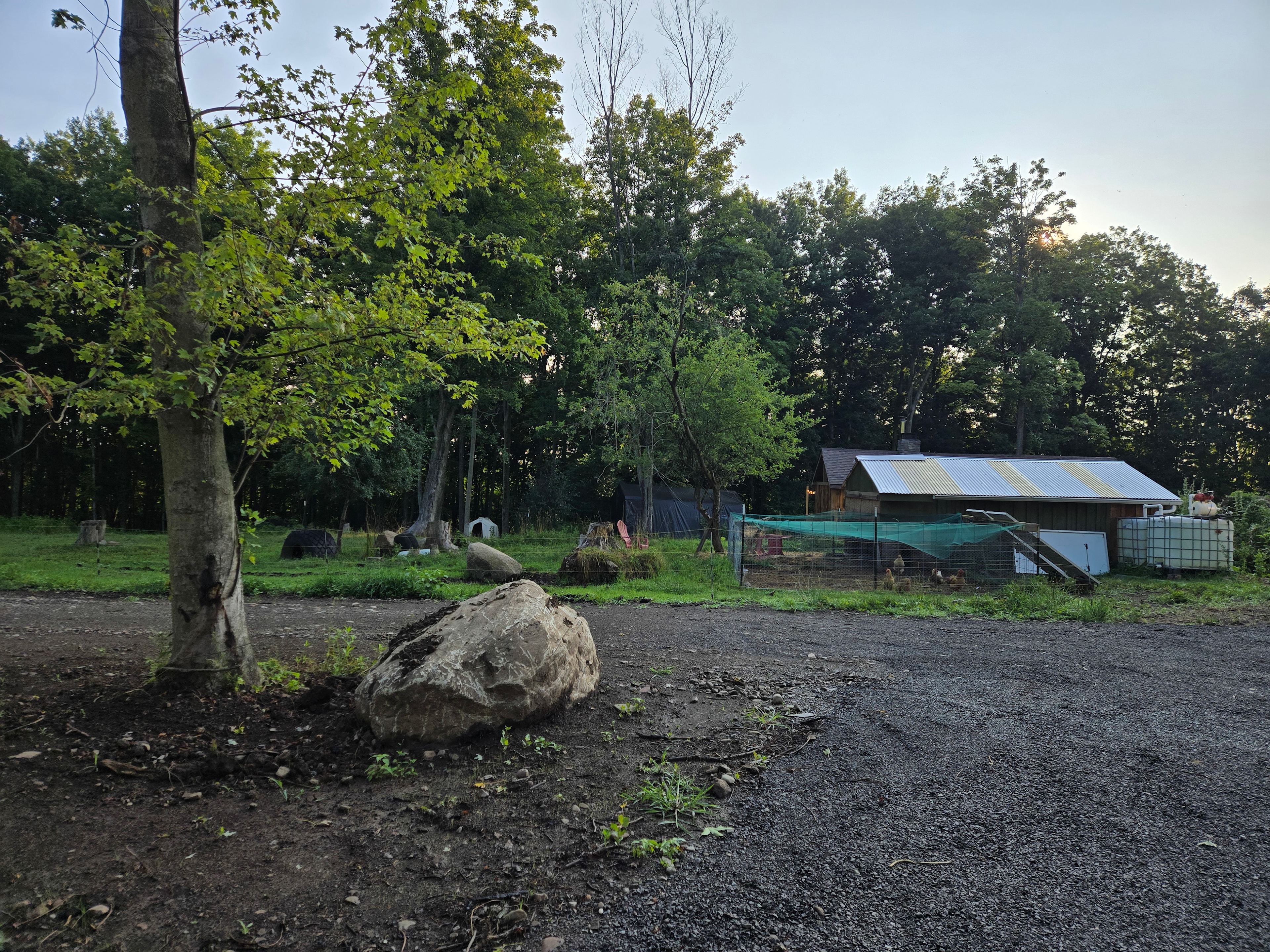 Honey Bee Ridge
