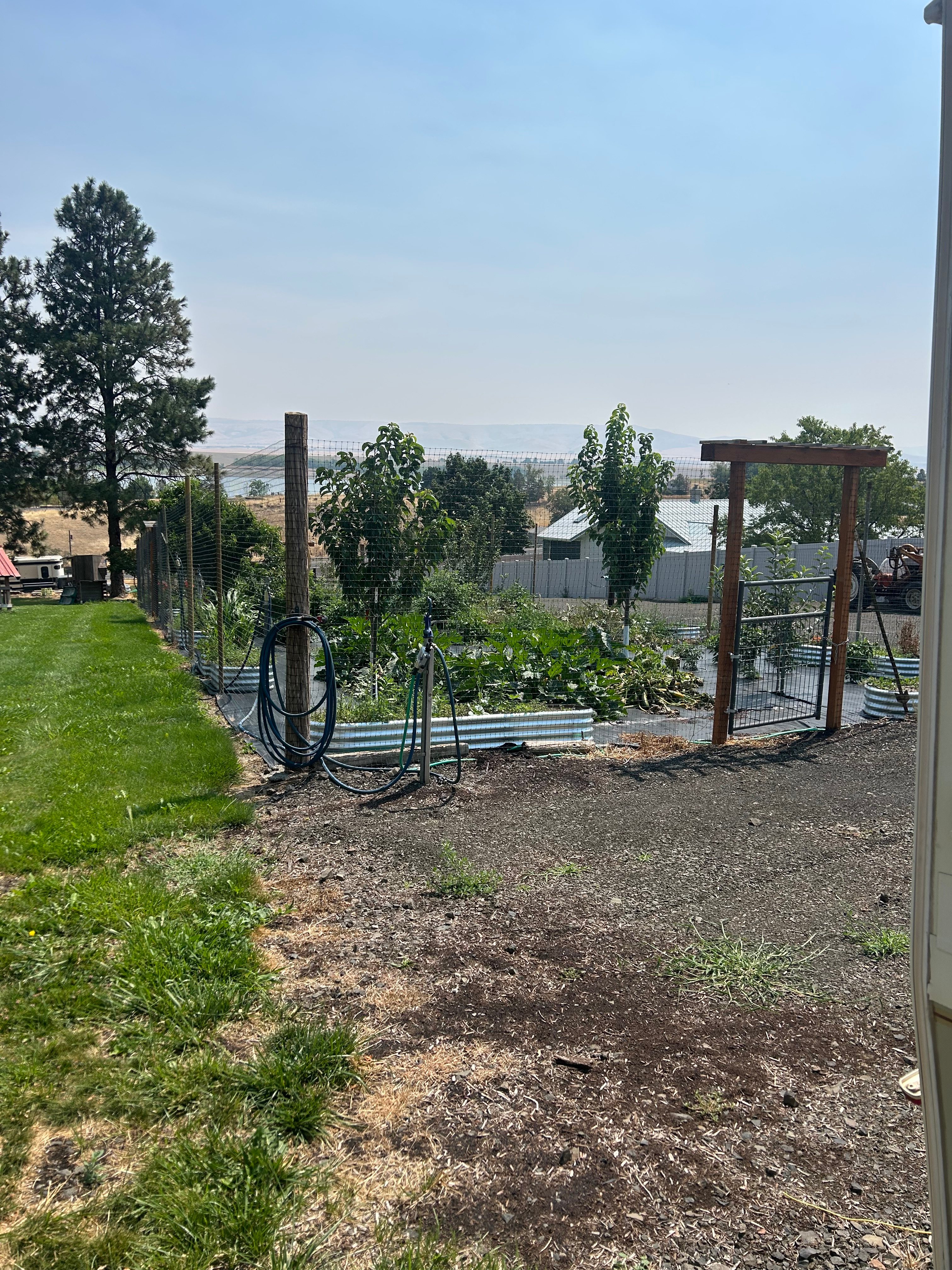 Blue Mountain Views