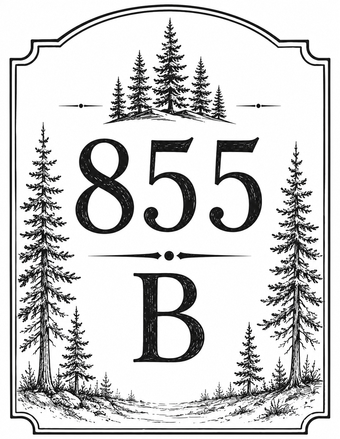 Beaver Ridge Basecamp