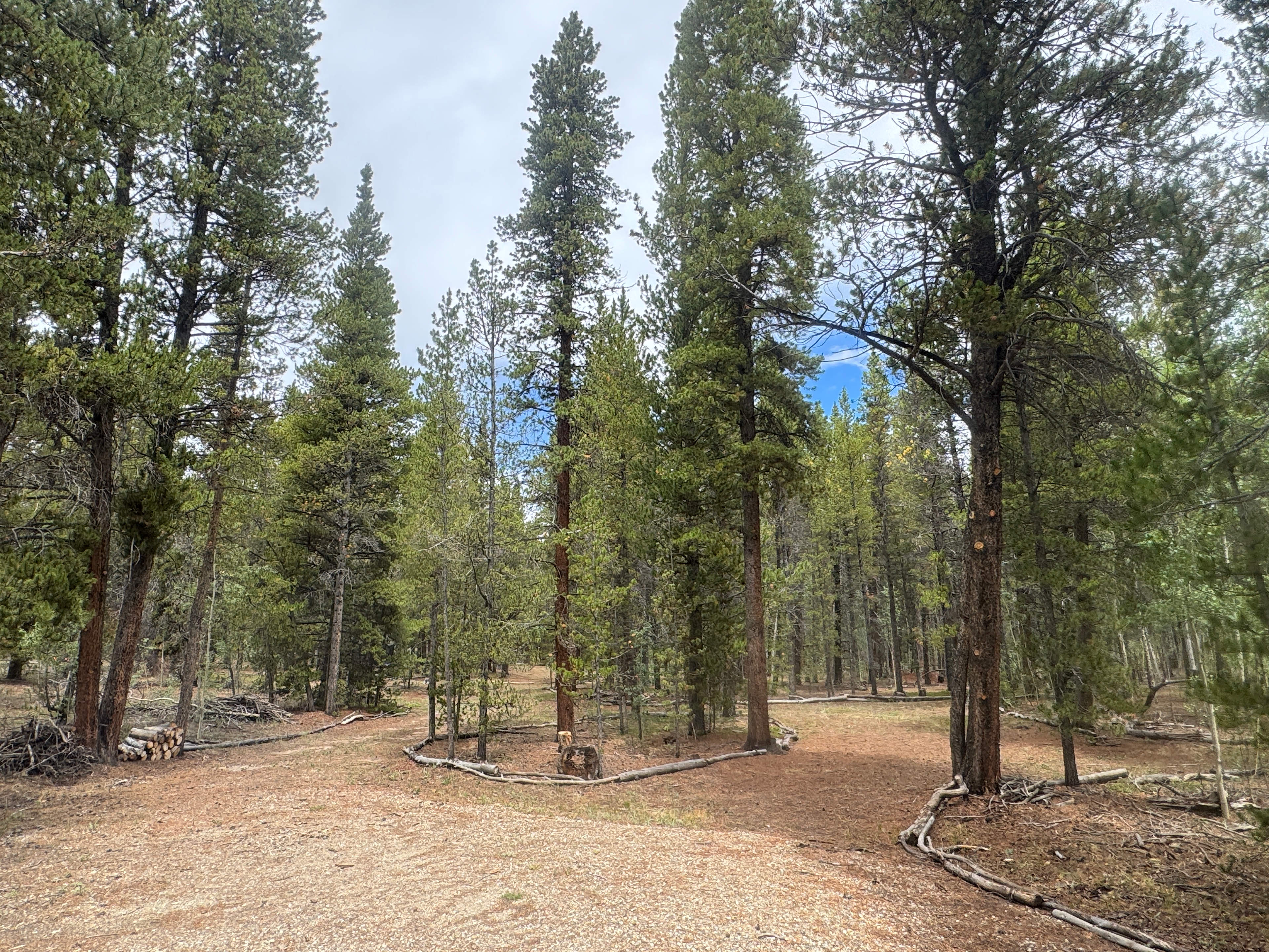 View of campsite from Beaver Ridge Rd.