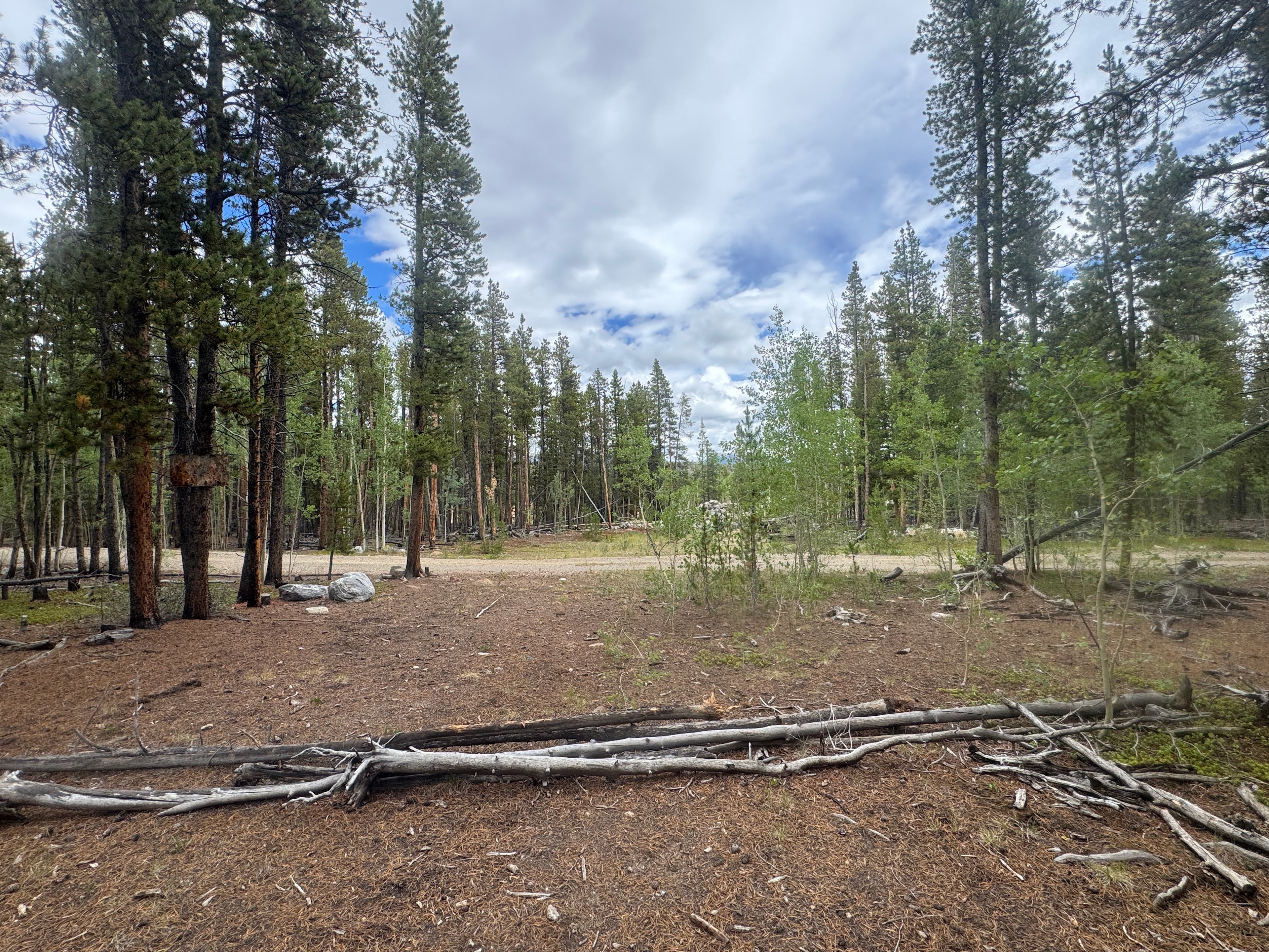 Beaver Ridge Basecamp