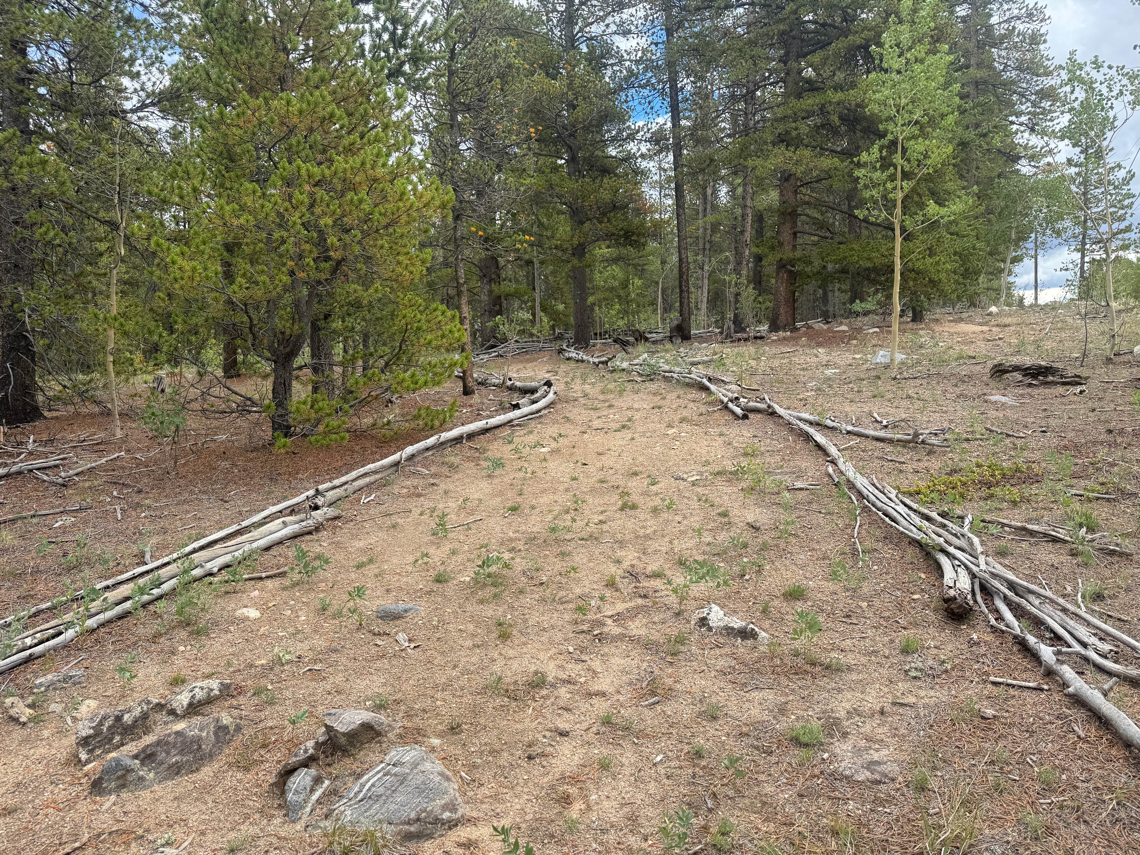 Trail