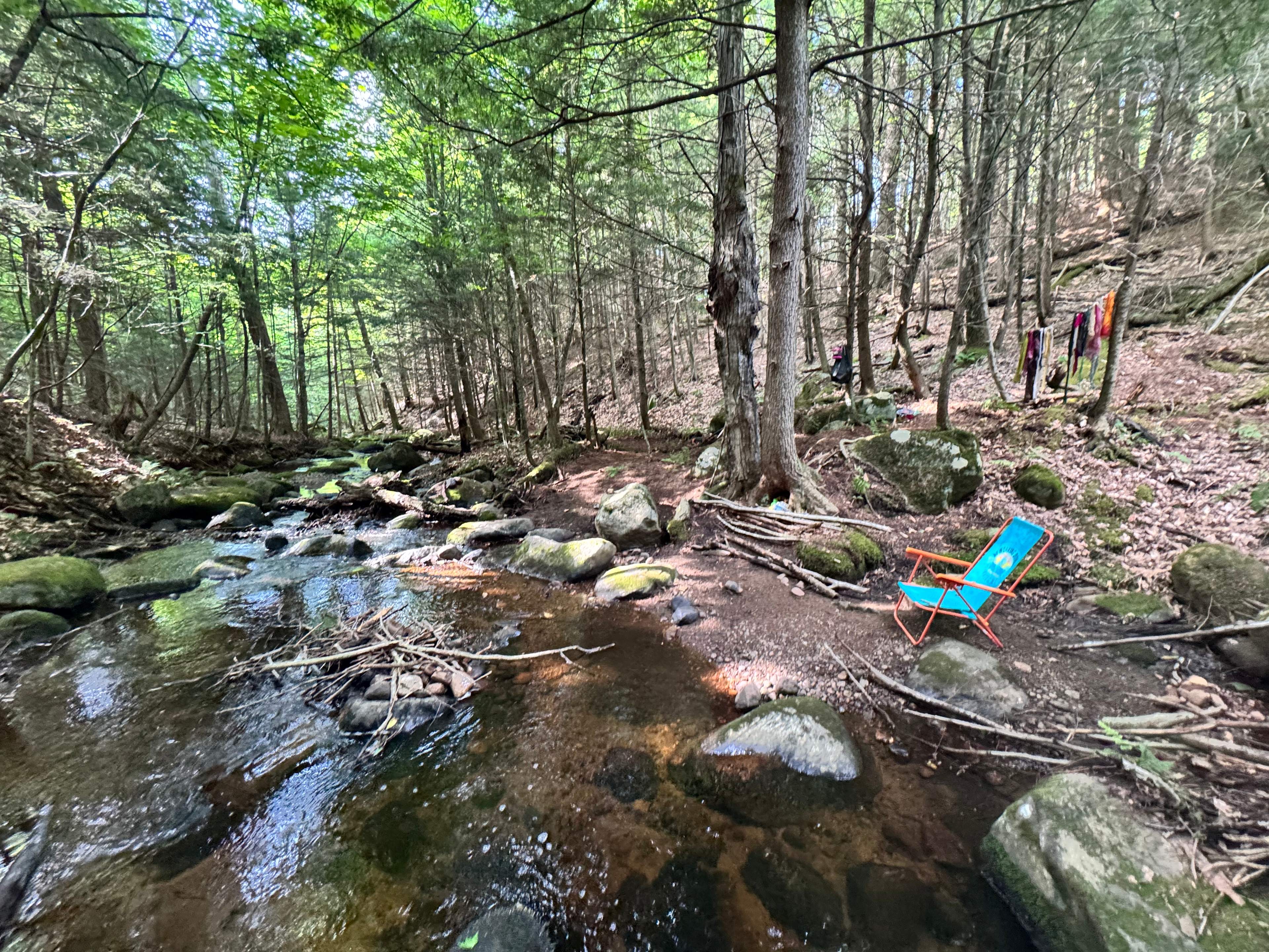 Moss & Stone Creek