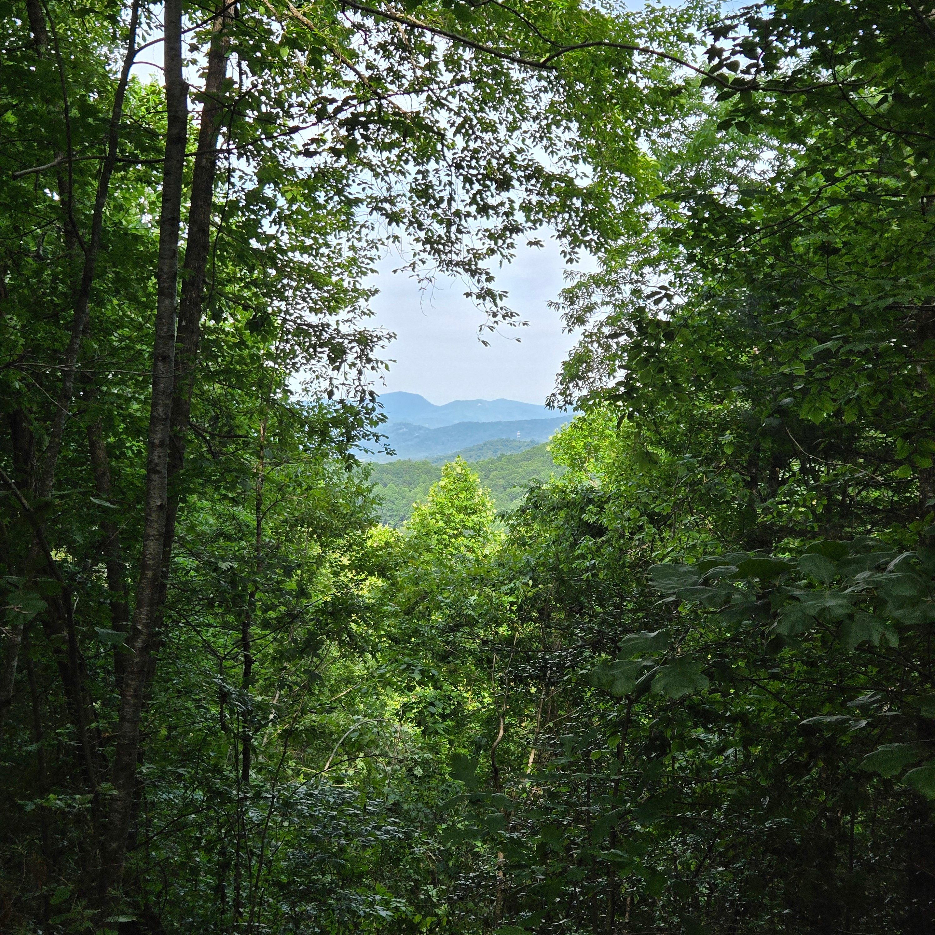 Cardinal Mountain Campground