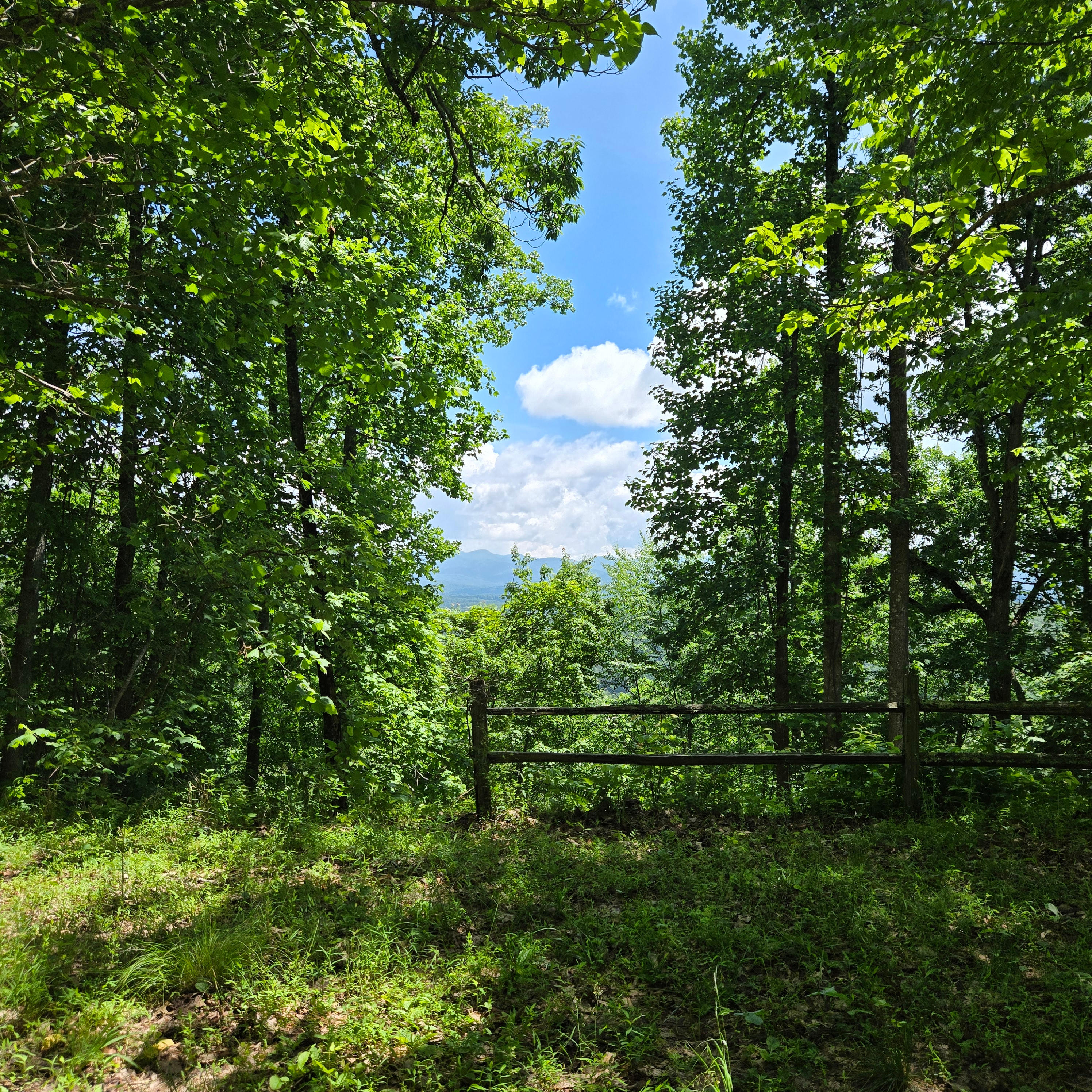 Cardinal Mountain Campground