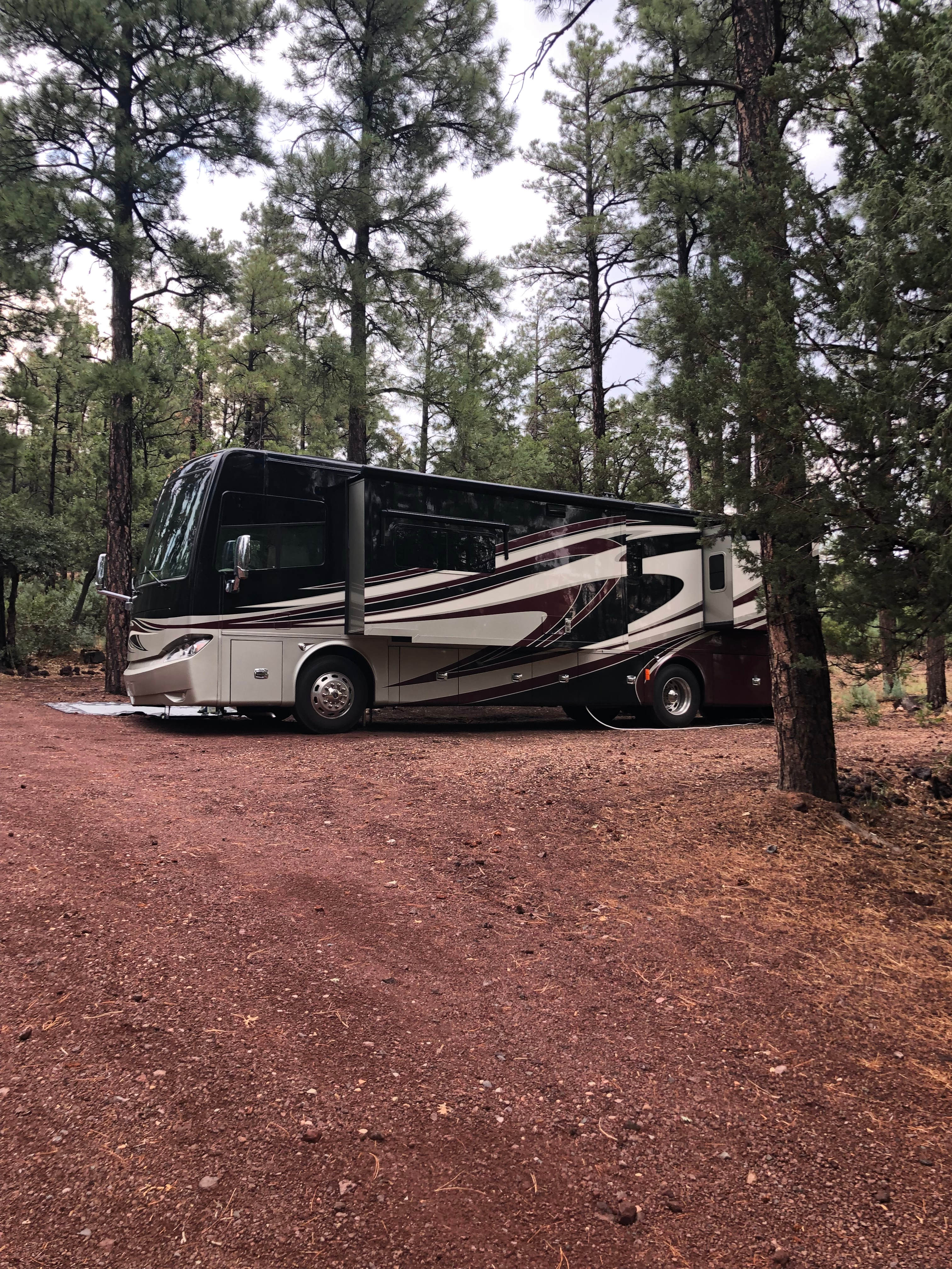 Elk Run